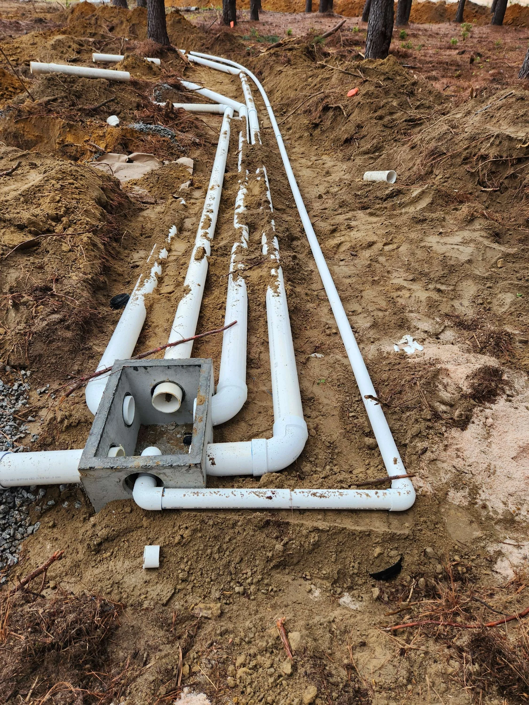 Underground plumbing pipes laid in a trench in a wooded area, with trees and dirt surrounding the site.