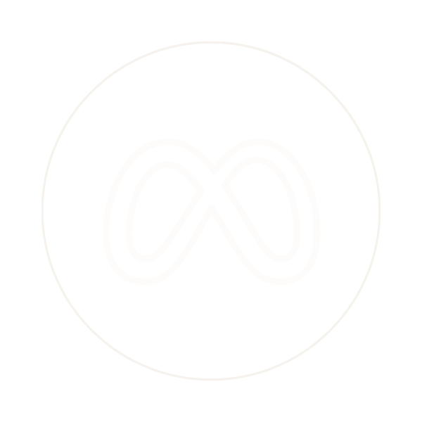 Meta Ads agency, paid ads agency, meta ads management