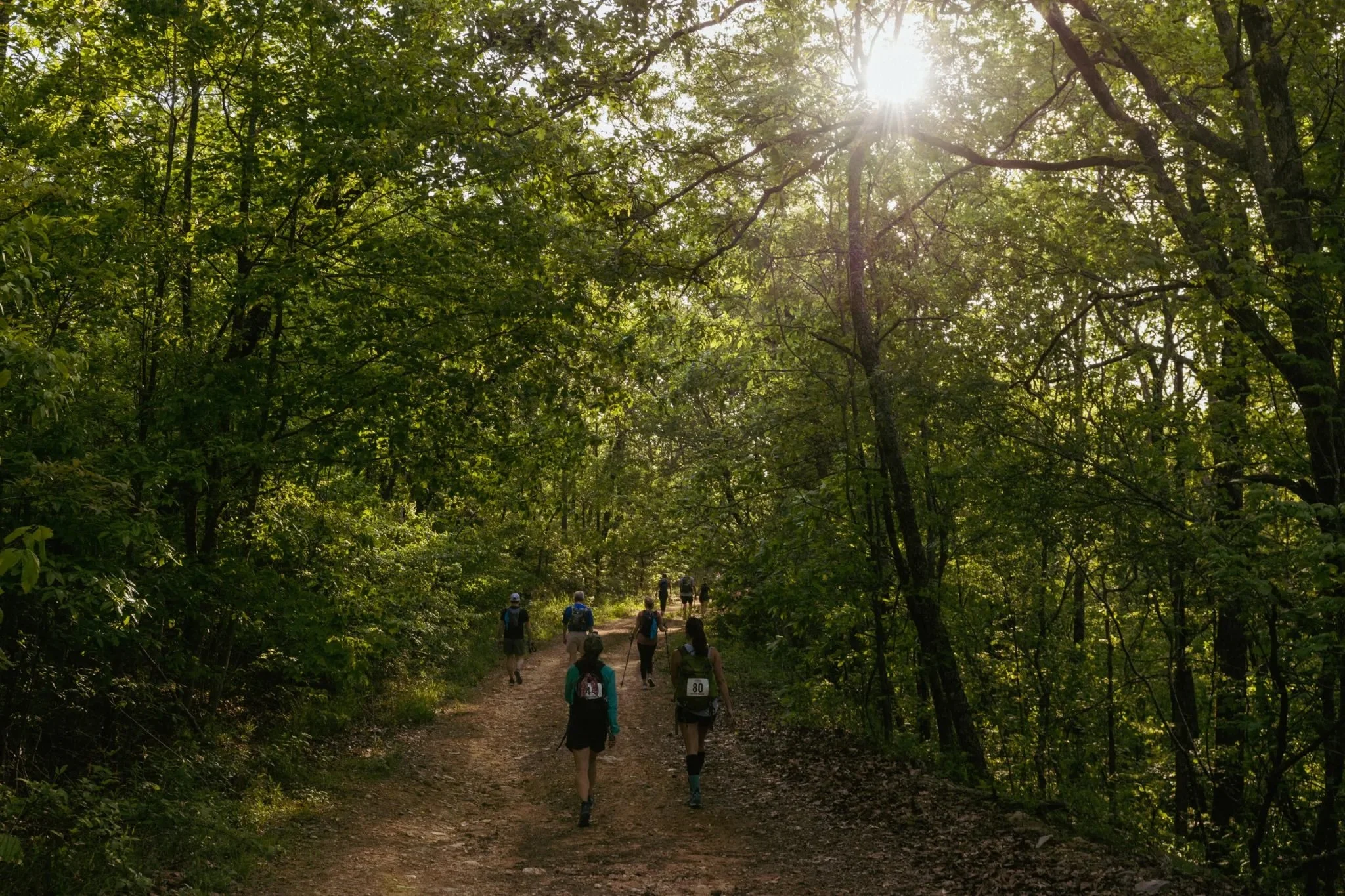 Group of hikers walking along a dirt trail in a sunlit forest with green leaves.