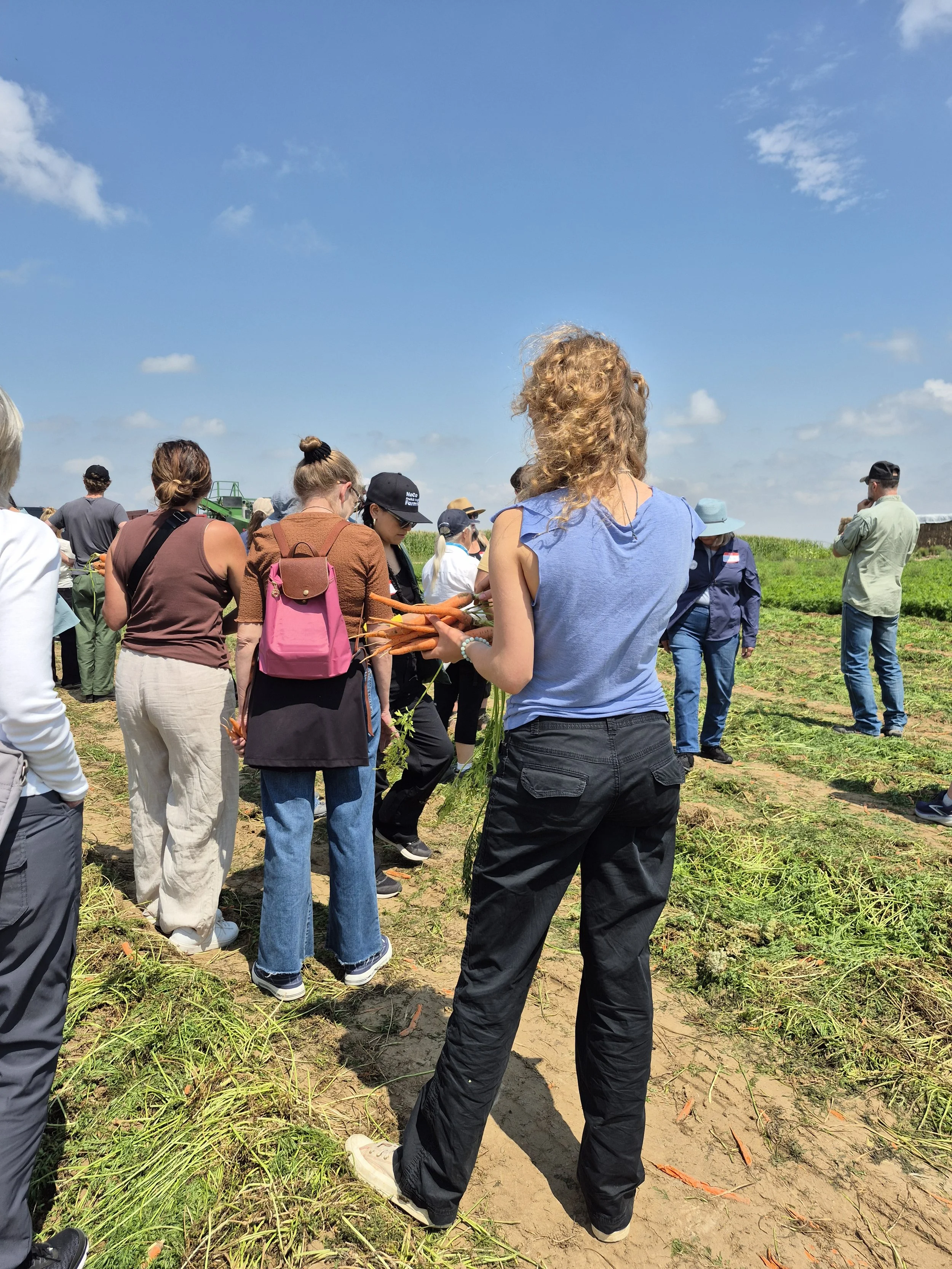 Tour participants on a carrot farm, one hold her yield of hand=picked carrots