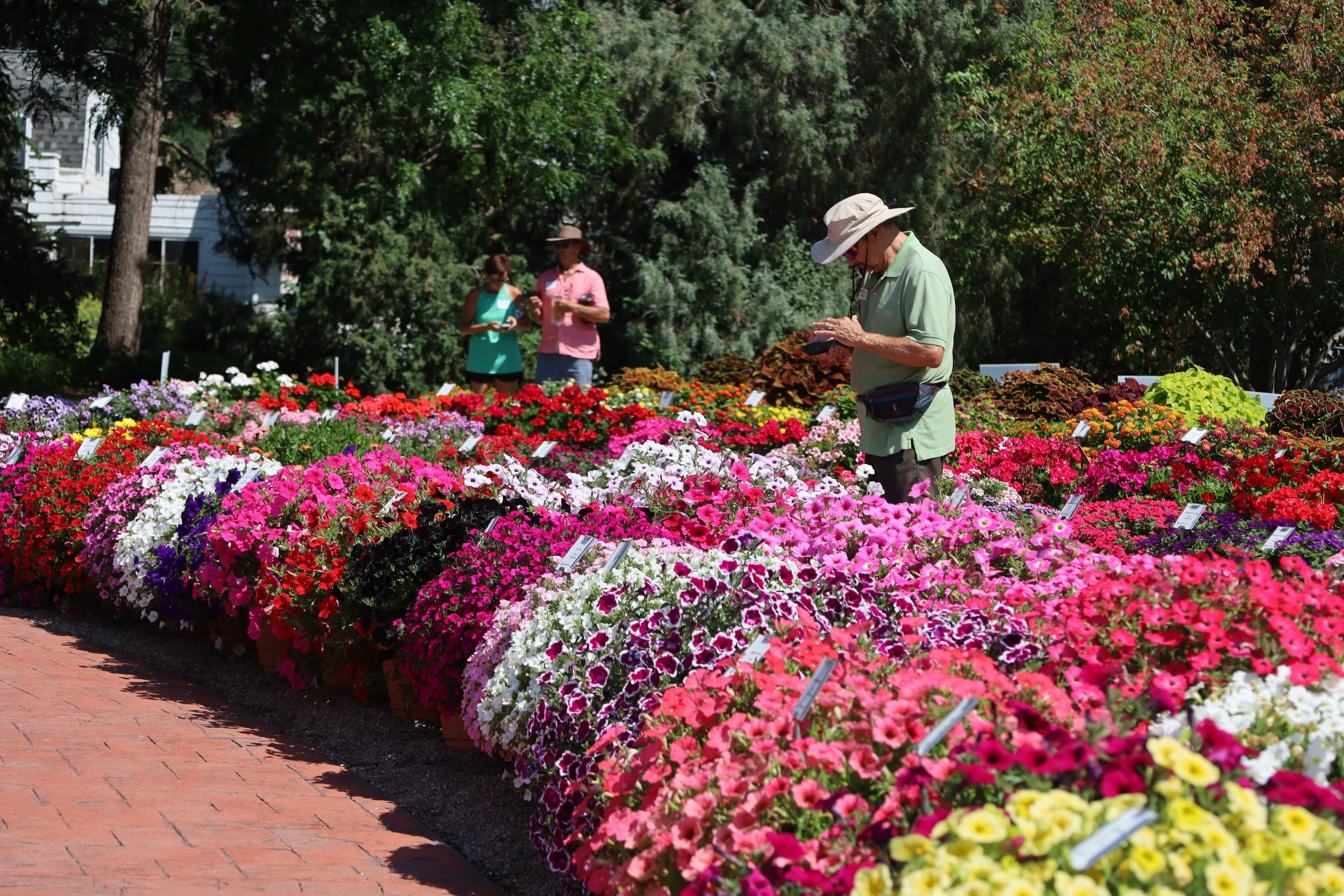 Master Gardeners studying flowers at the CSU Trial Gardens
