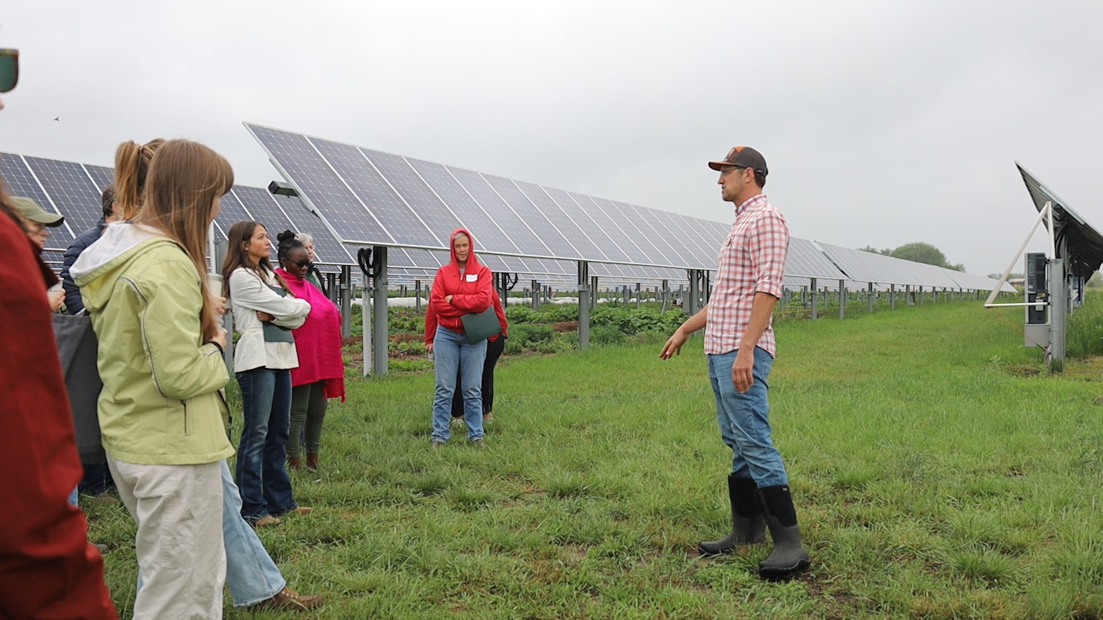 Tour participants on a farm gather around farmer, surrounded by solar panels