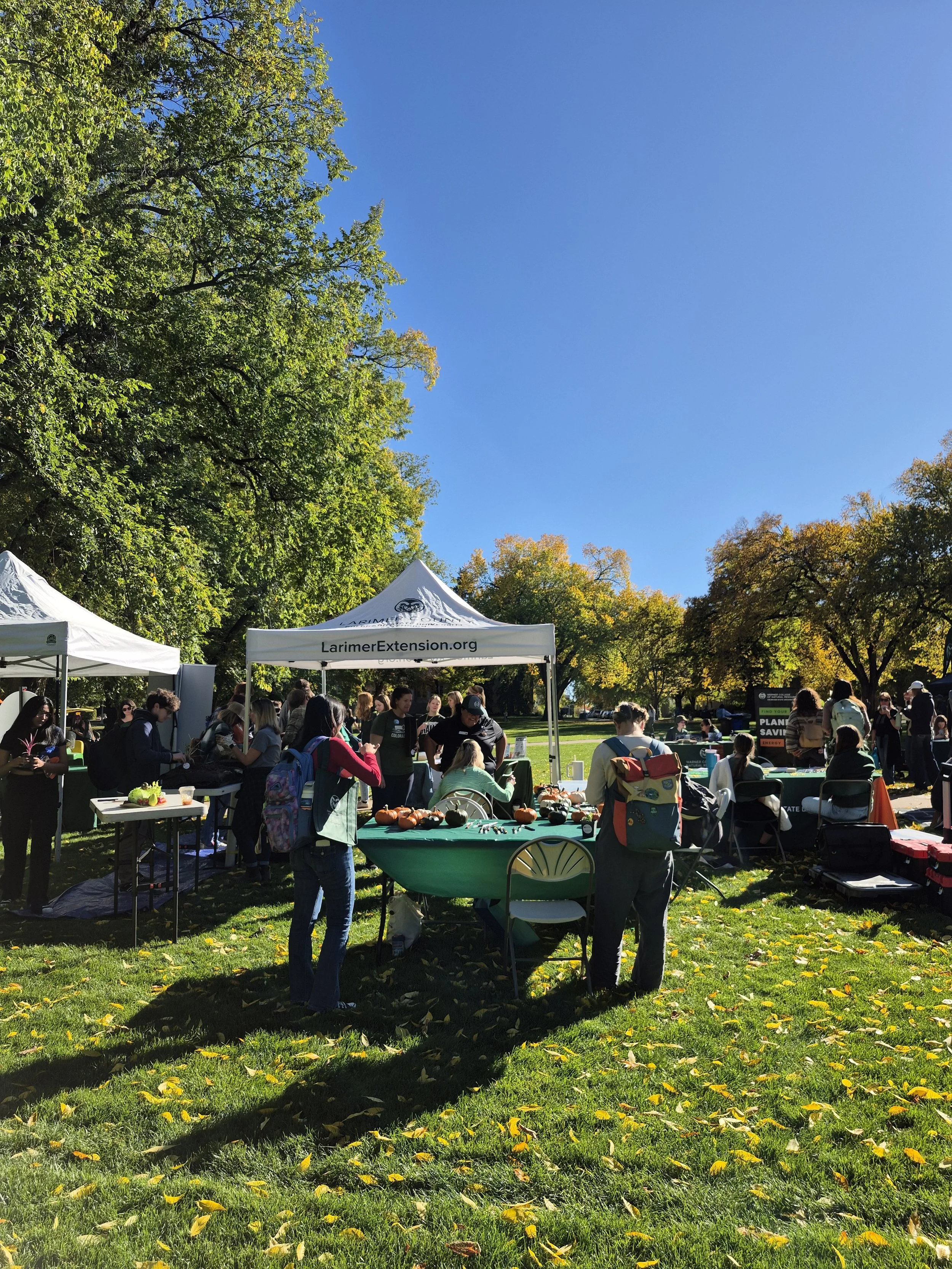 Extension booth on a sunny day on The Oval at CSU