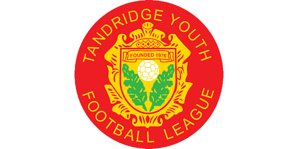 Logo of Tandridge Youth Football League featuring a red circle, yellow crest with green leaves, a soccer ball, and the founding year 1976.