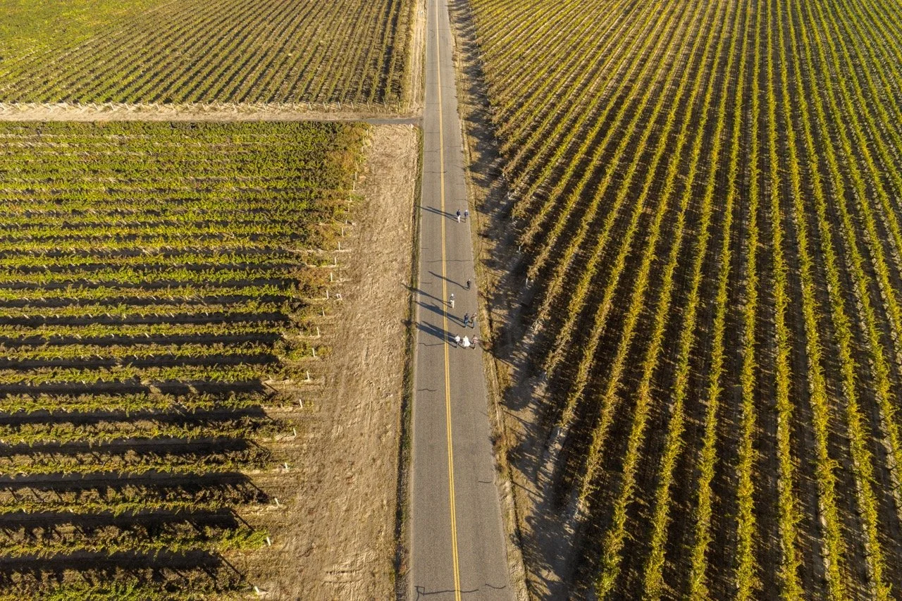 D003C0050_251021_JV1562 Large.jpeg