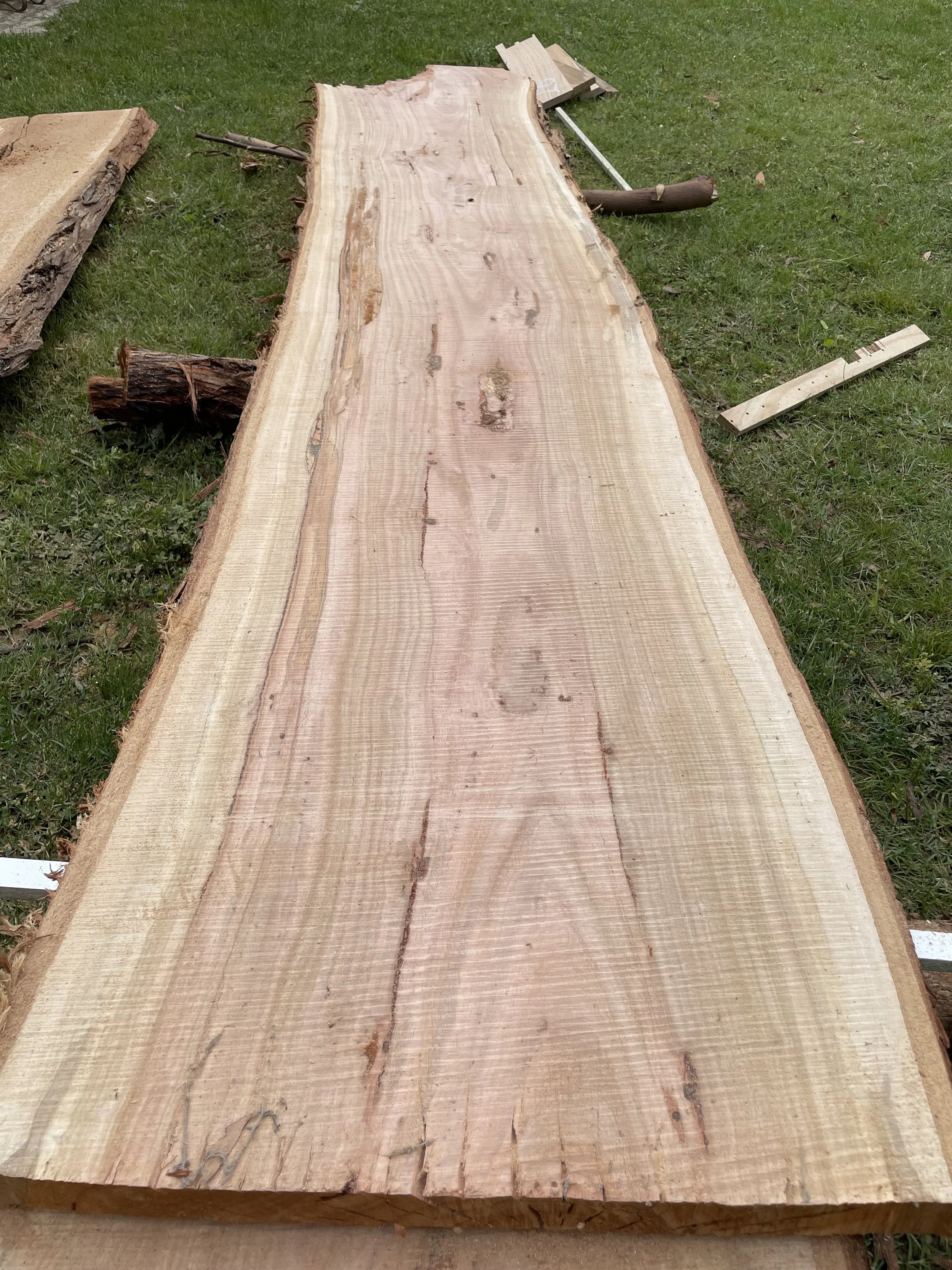 A large, unfinished wooden slab lying on the grass, with some smaller pieces of wood around it.