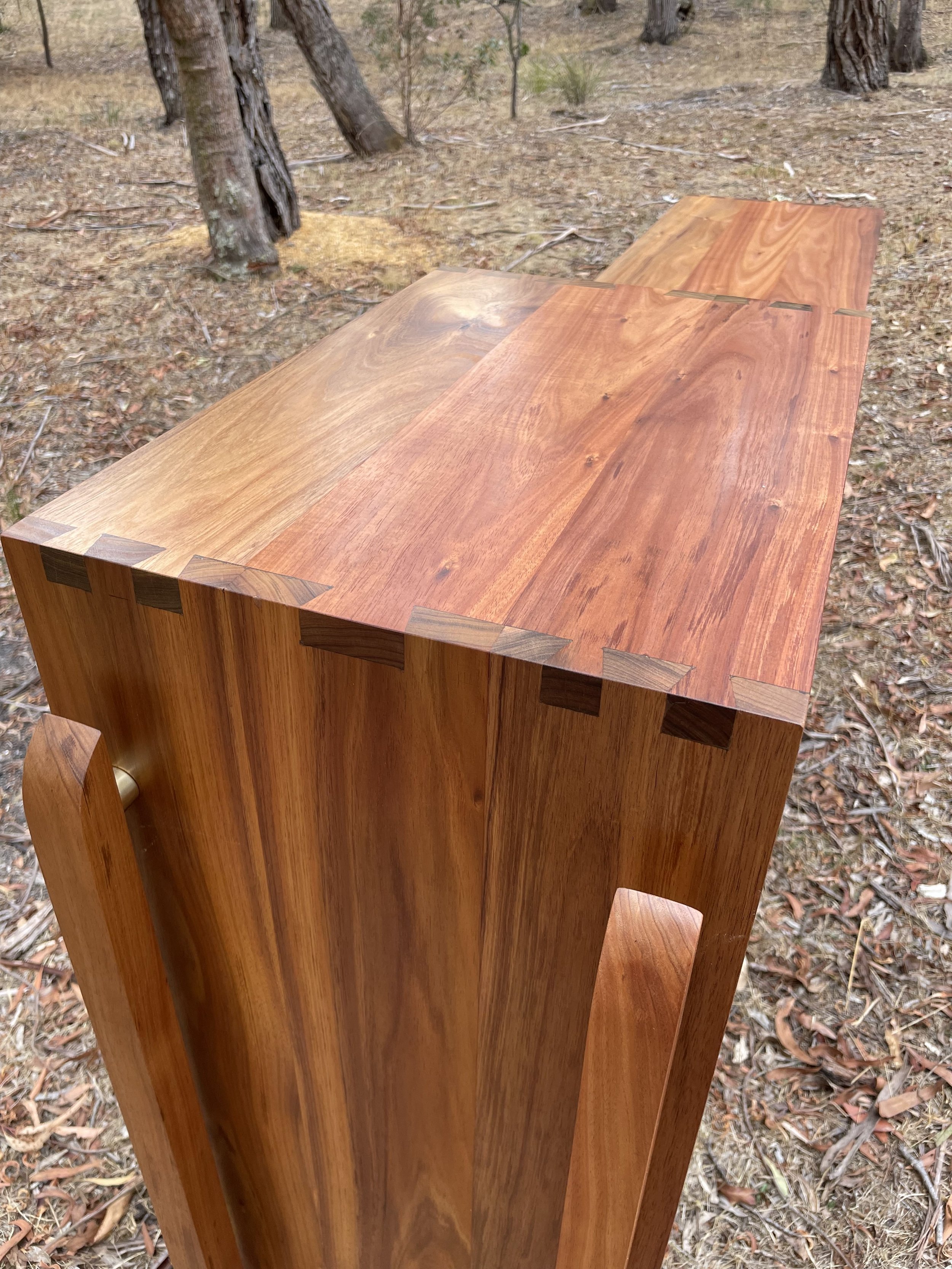 A wooden piece of furniture, possibly a cabinet or a table, with dovetail joints on the corner, situated outdoors among trees and forest floor.