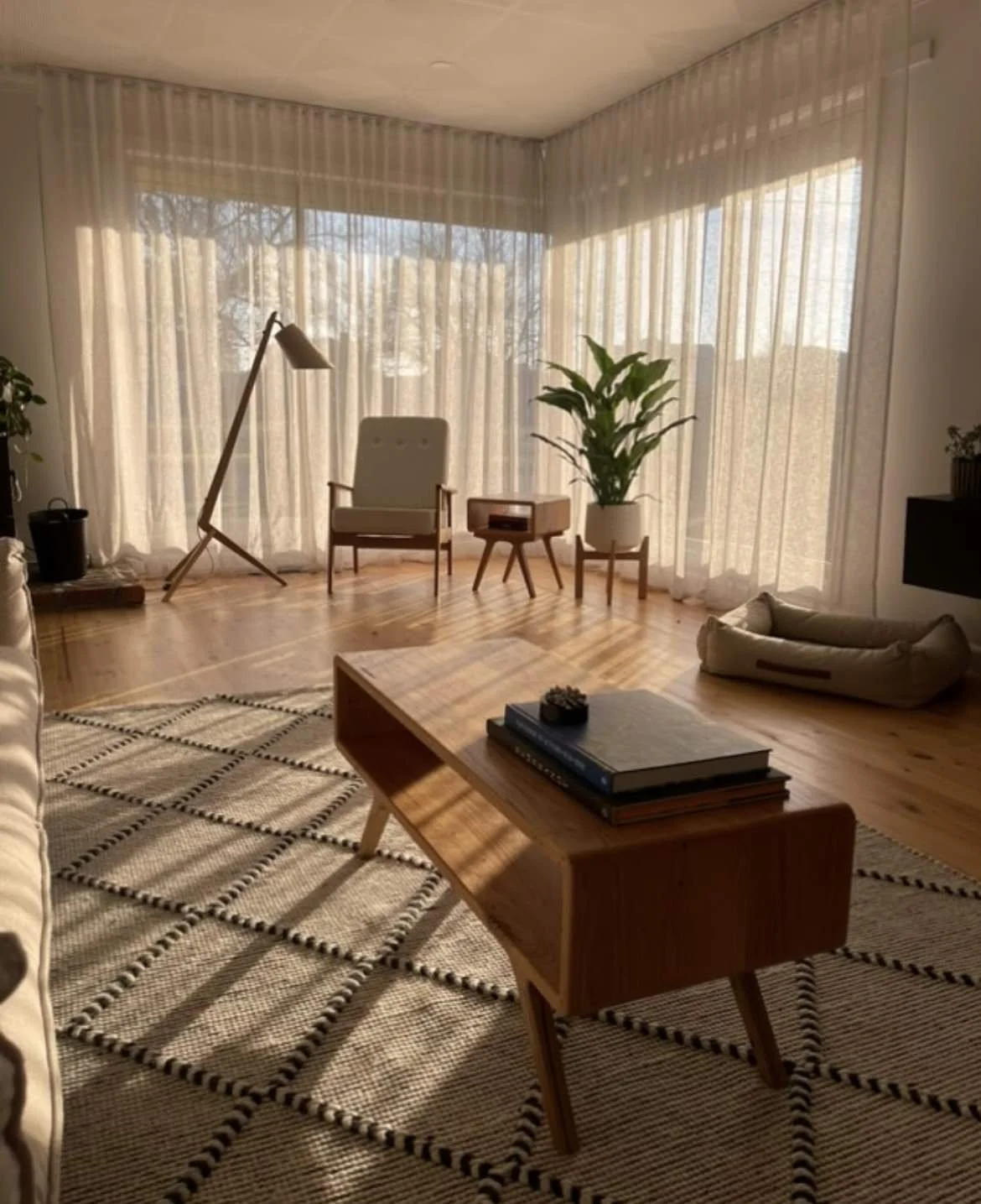 Bright living room with large windows, sheer curtains, wooden floor, modern armchair, potted plant, dog bed, coffee table with books, and patterned rug.