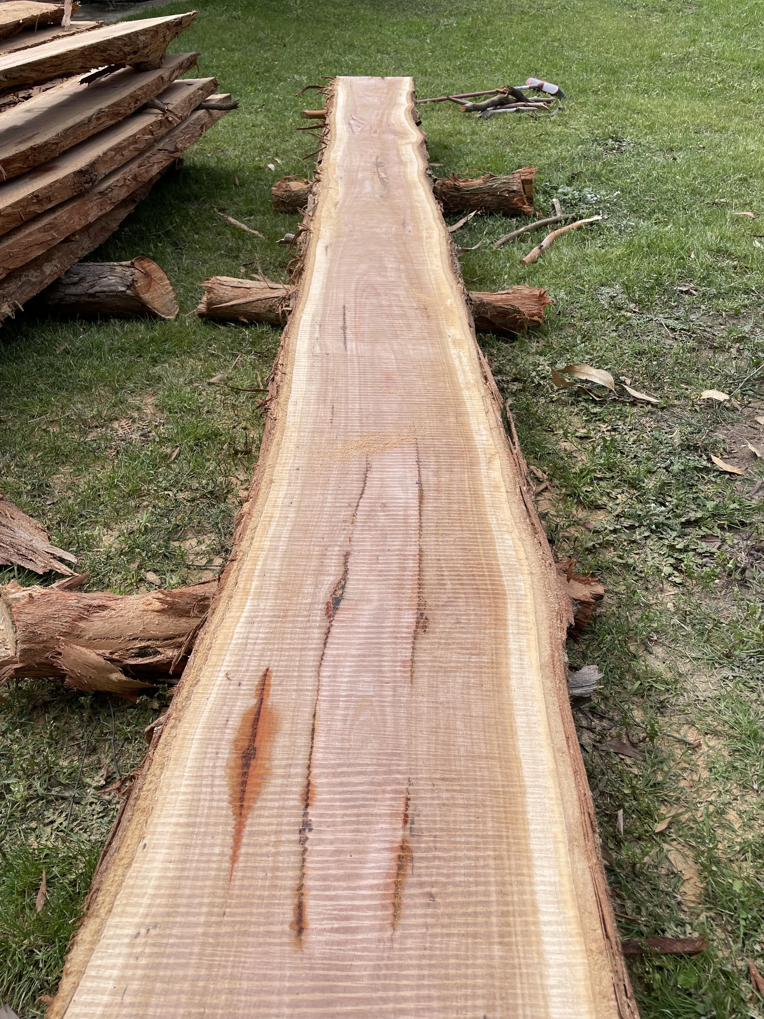 A long, unfinished wooden slab on the grass with logs and wood pieces nearby.
