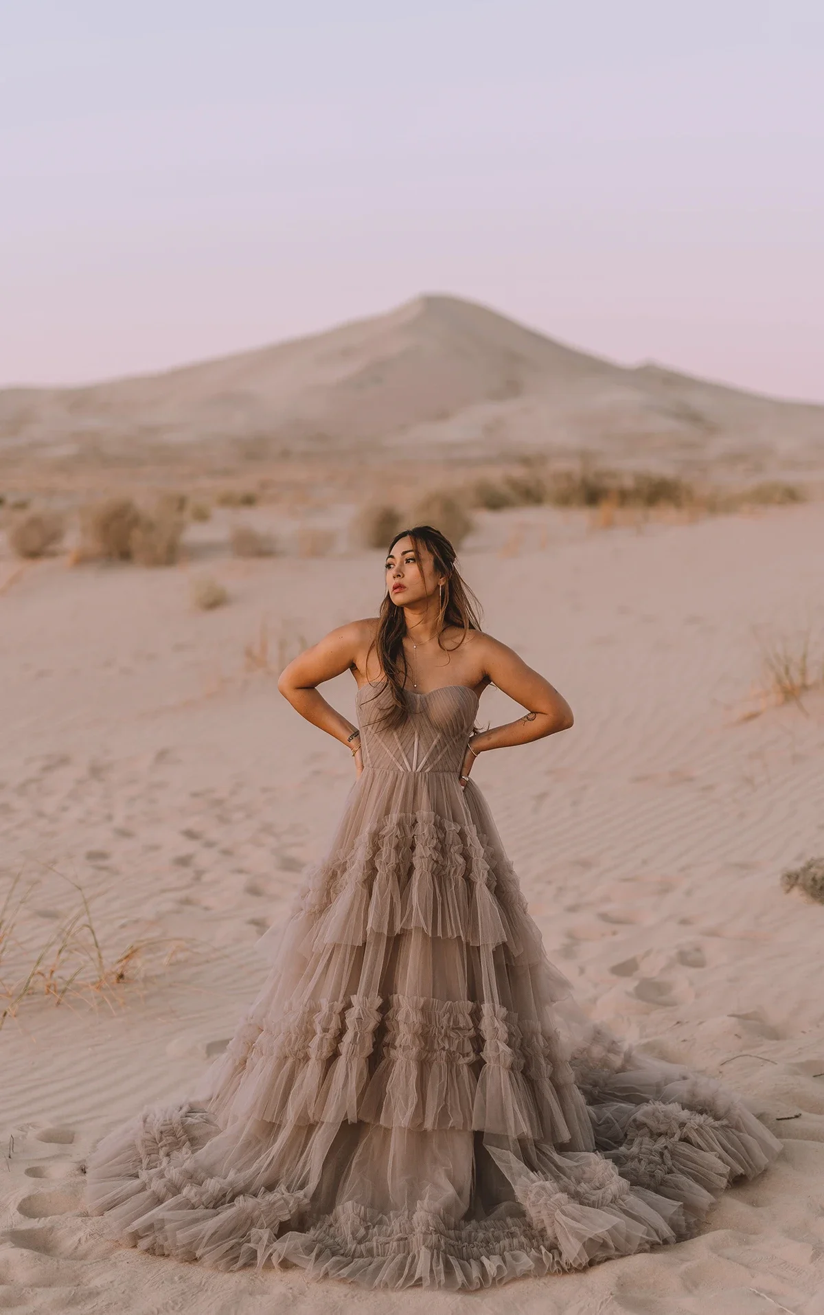 Dreamy Tulle Aline Bridal Dress with Blouson Sleeves