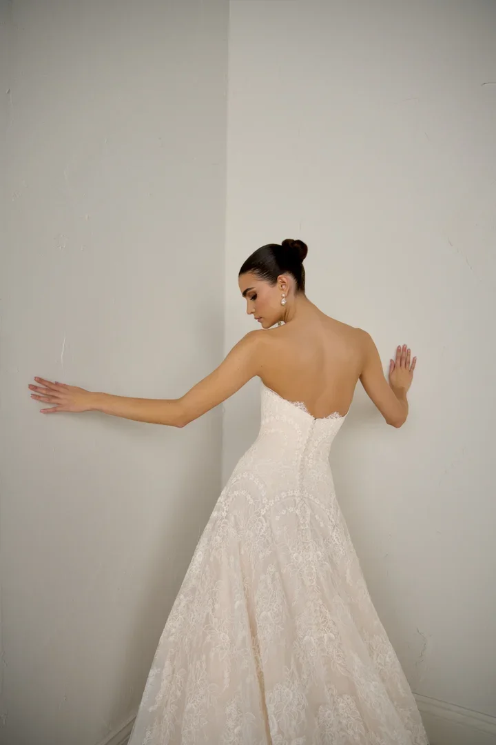 Allover Lace Aline Gown with Dropped Waist and Straight Neckline