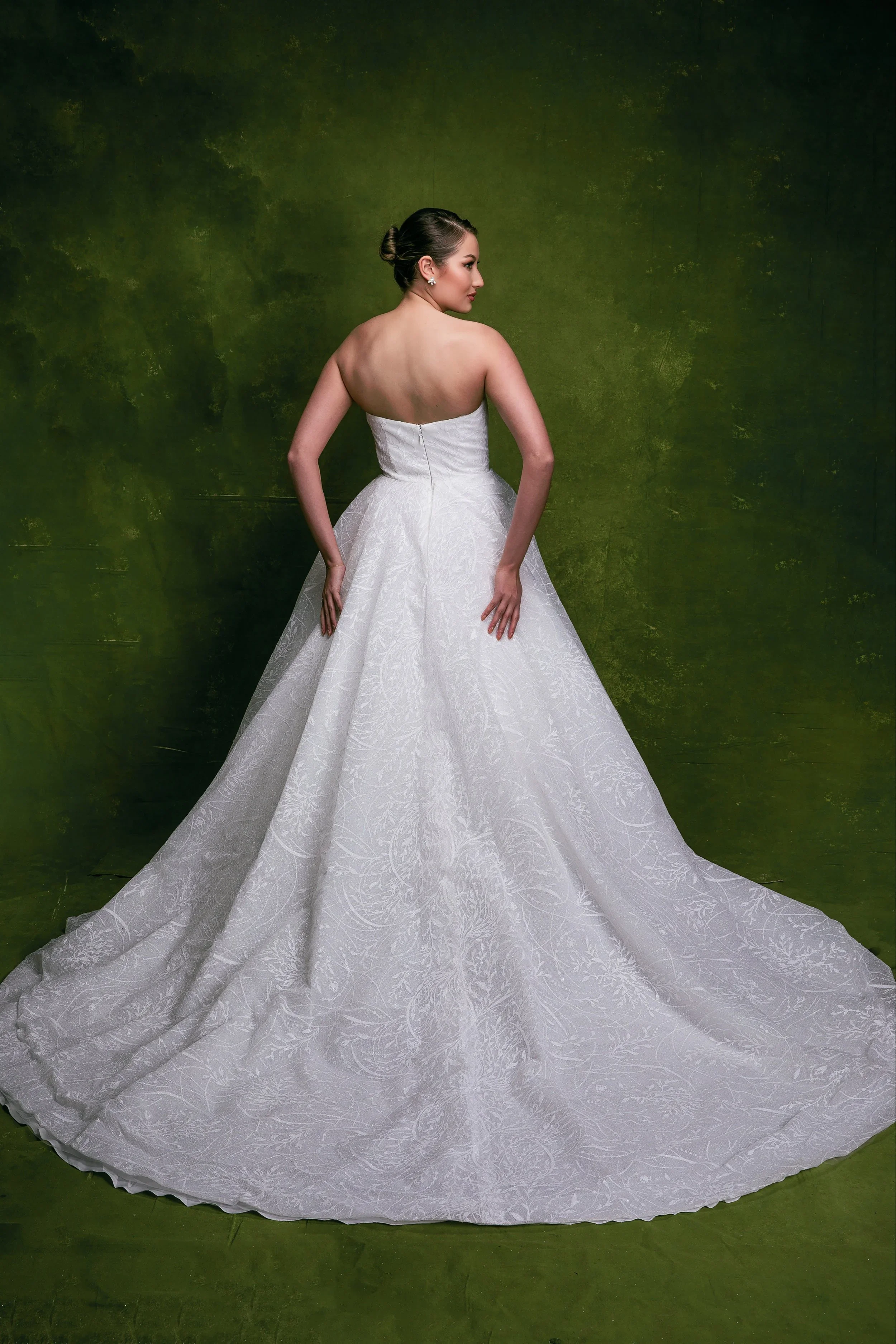 Elizabeth Lee Isabella sparkle Israeli lace ballgown wedding dress with peaked strapless neckline.
