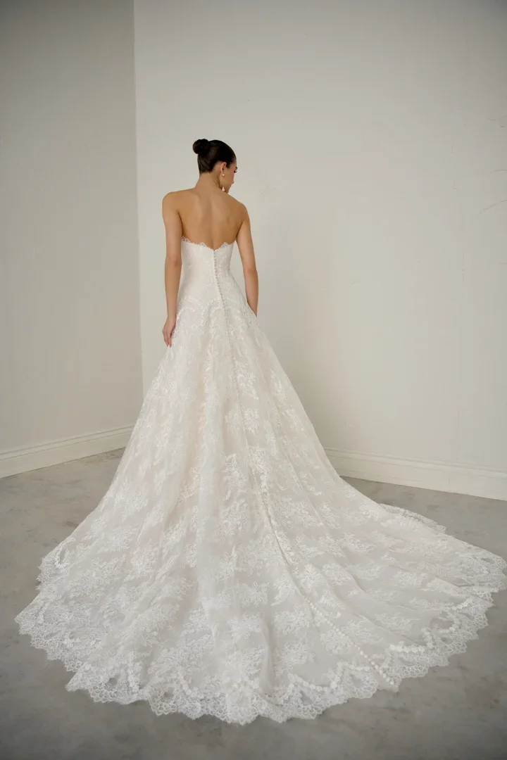 Allover Lace Aline Gown with Dropped Waist and Straight Neckline