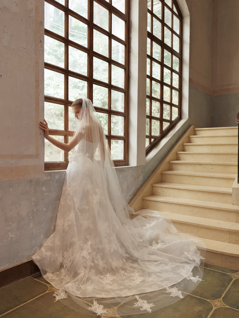 A-Line with basque waist and tulle alongside a long train and veil option