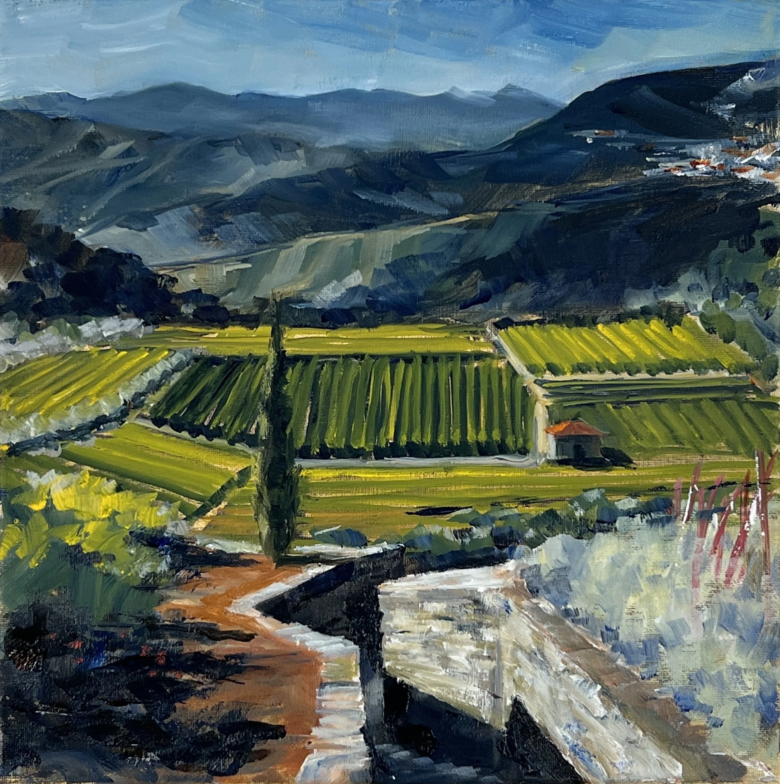 Douro Valley, Provesende, 2023