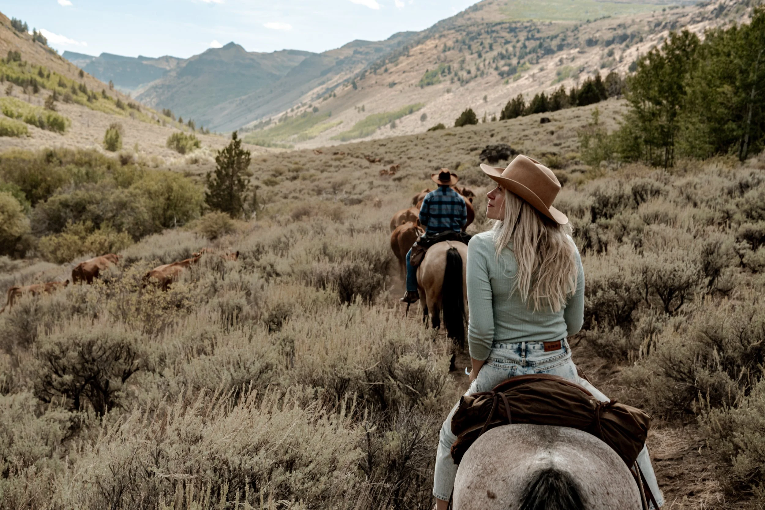 A woman with long blonde hair wearing a wide-brimmed hat and a light blue shirt rides a white horse in a mountainous landscape. A man in a cowboy hat and plaid shirt rides a brown horse further ahead. Steens Mountain Ranch Tiger Canyon Mustangs