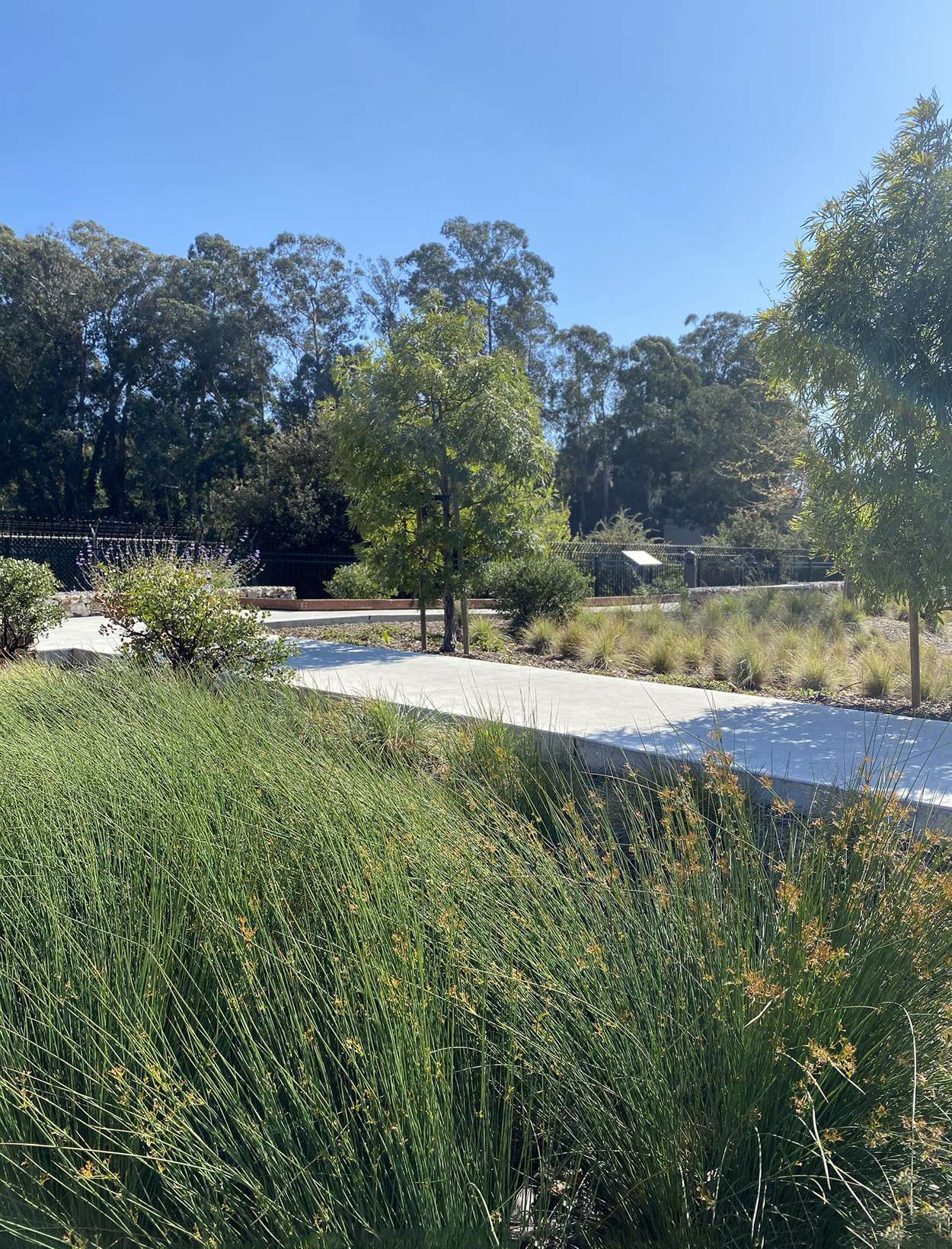 An Authentic Garden Design Case