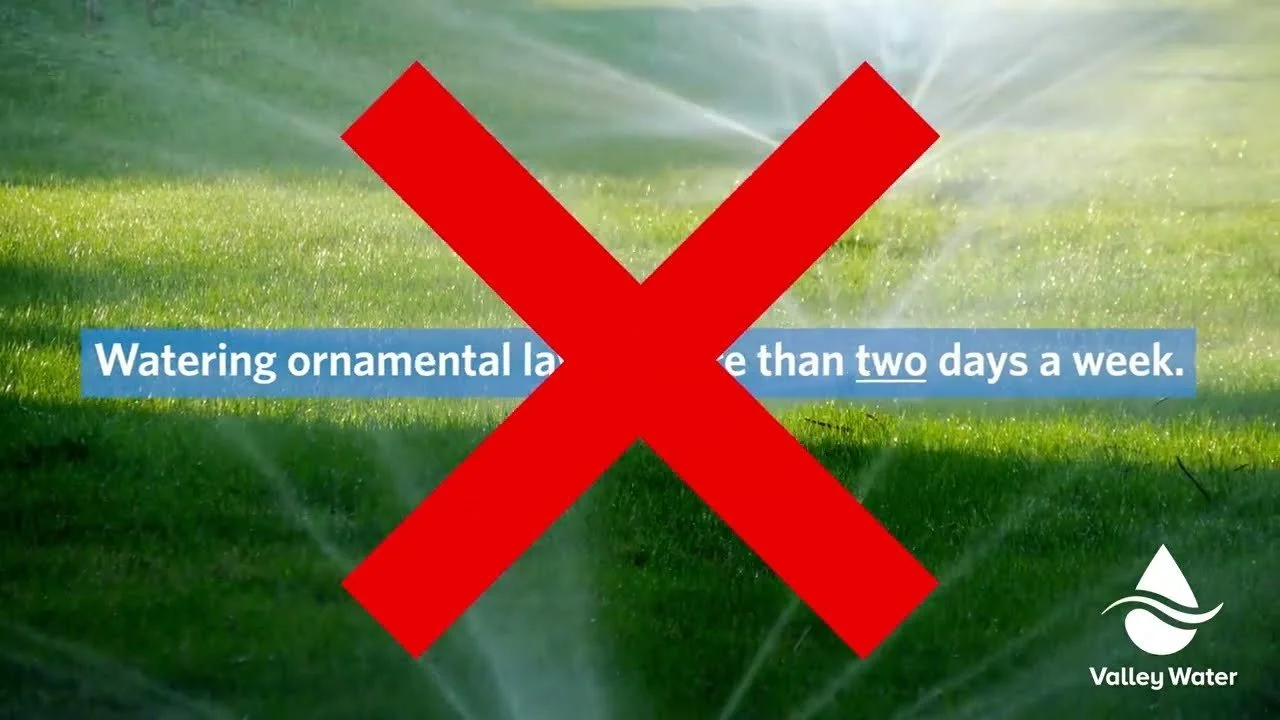 Transform Your Garden, Save Water, and Earn Rebates!