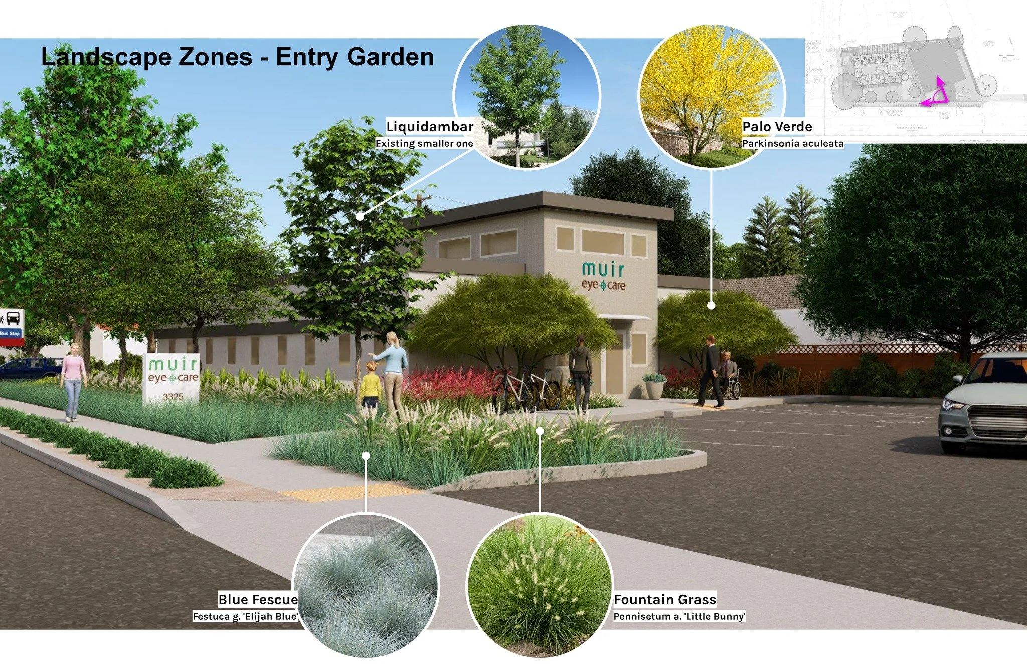 Sustainable Landscape Design: A Drought-Resilient Approach for California