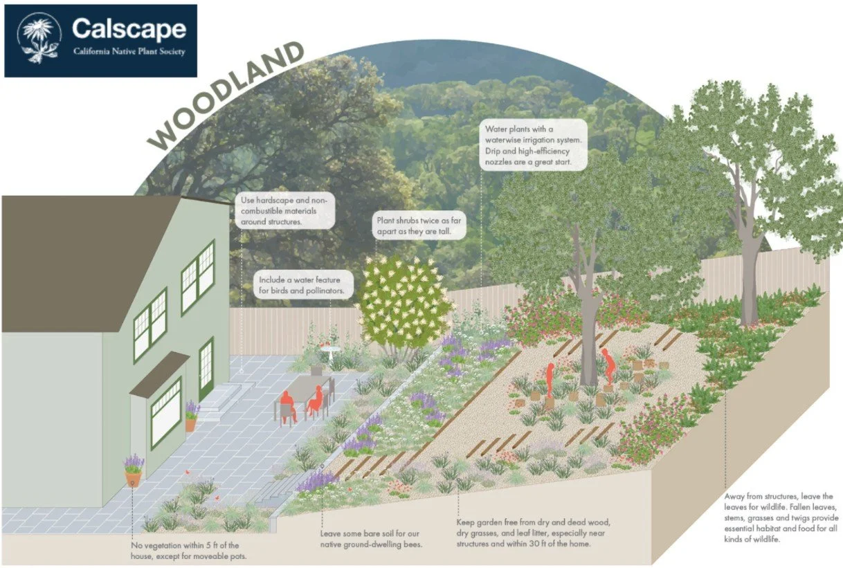 Fire resistant landscape.jpg