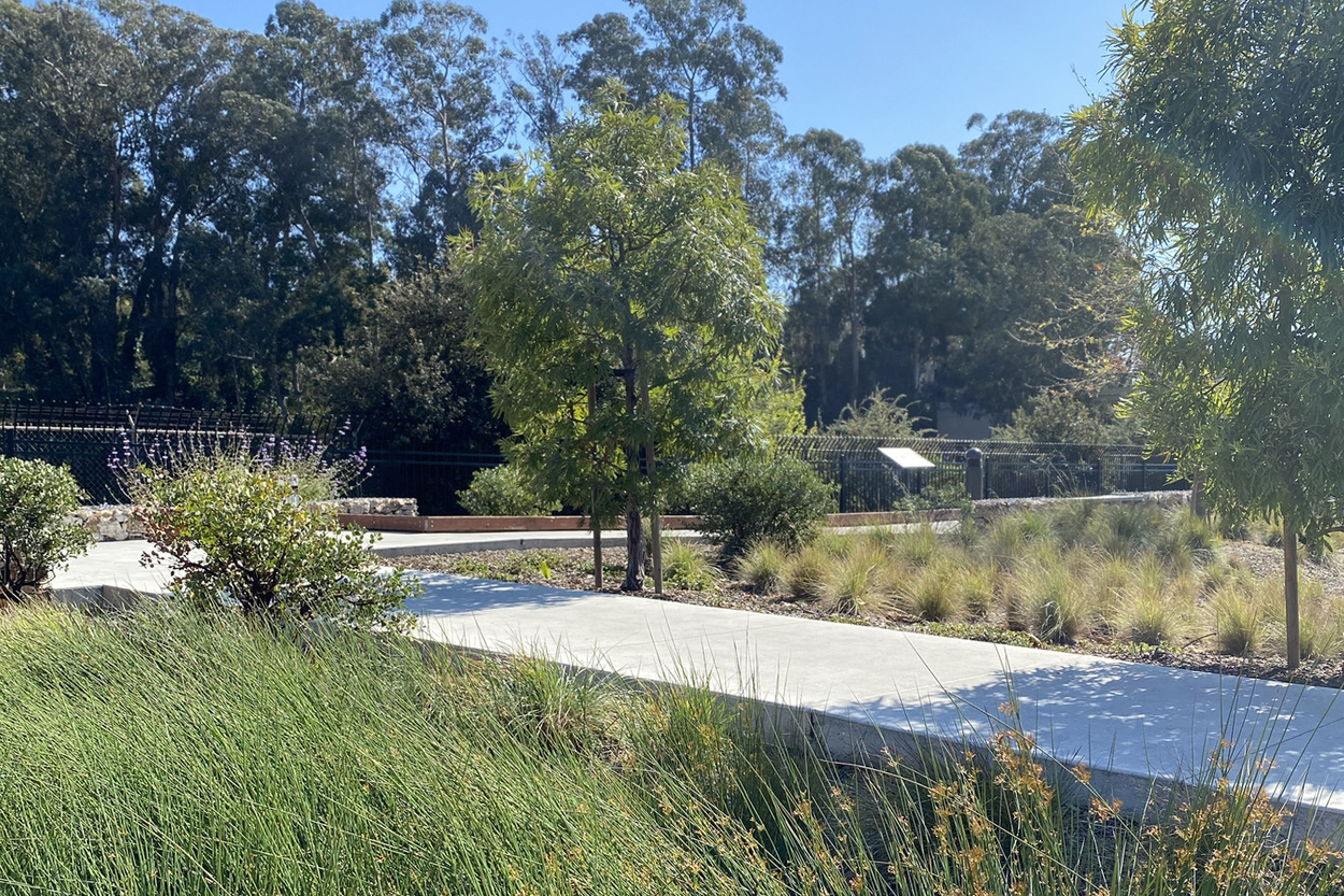  Why a Drought-Tolerant Garden Makes Sense in California 
 With California’s changing climate and yearly water restrictions, more homeowners are rethinking the traditional lawn. A drought-tolerant garden isn’t just about using less water — it’s about