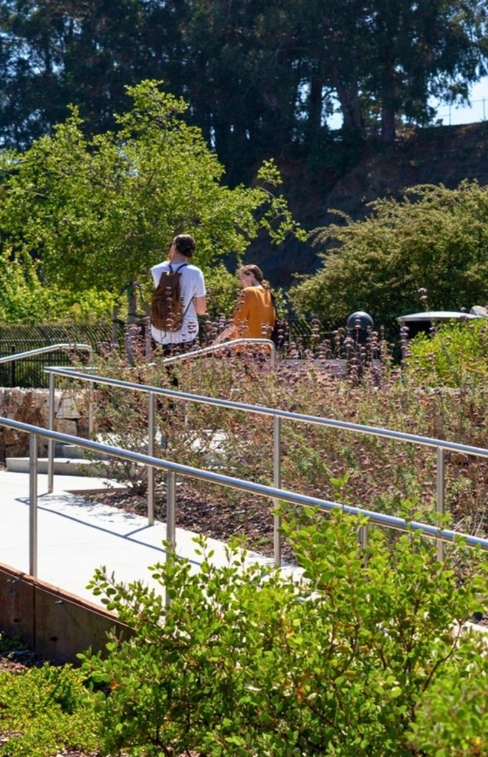 Accessible Landscape Design Case