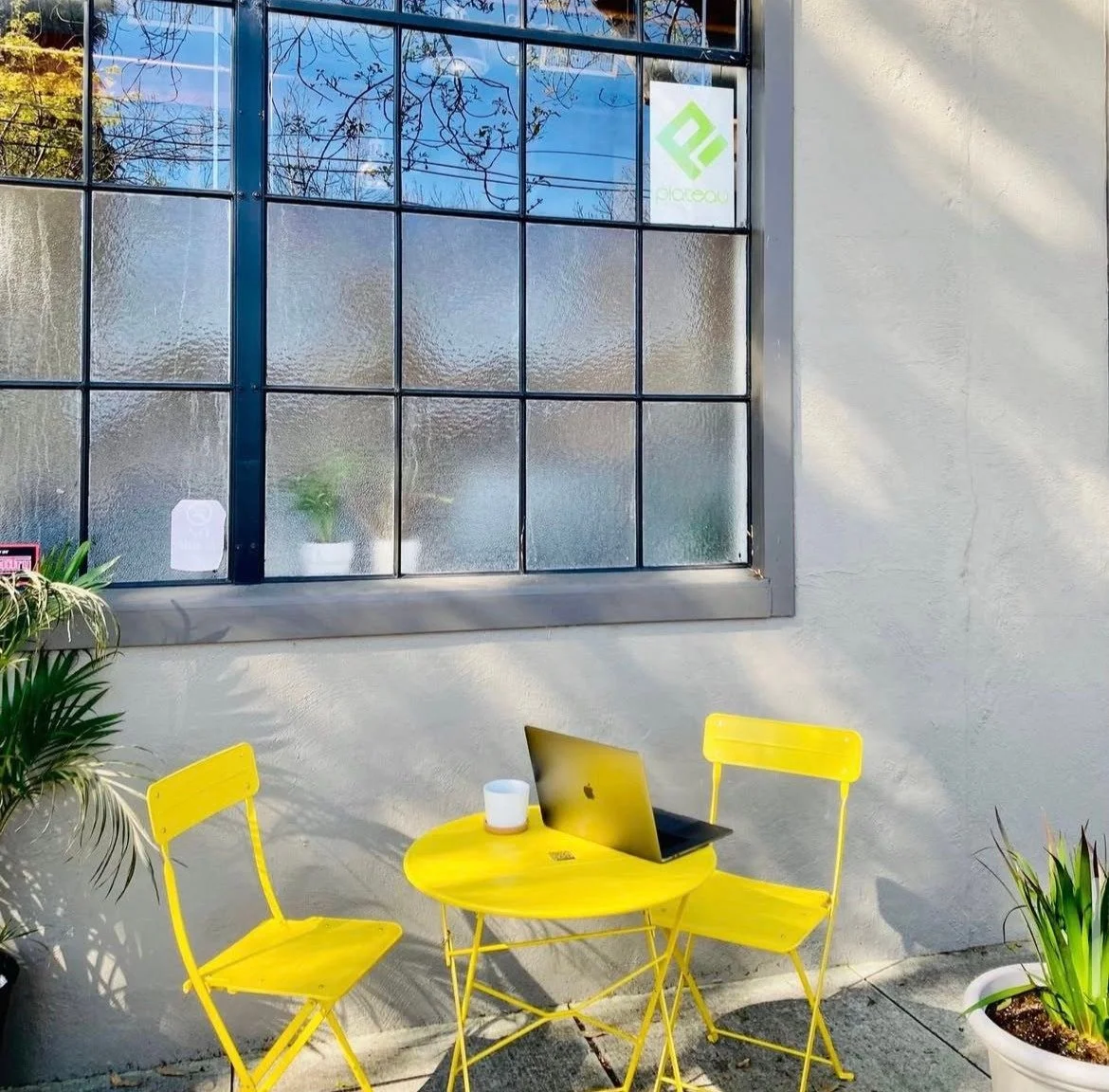 Garden Design Cases In California