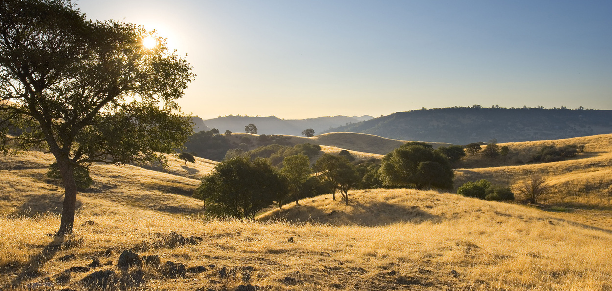  From high-risk to high style – fire-smart design 
 California’s climate is changing: droughts are deeper, wildfires are more frequent, and our landscapes must evolve. Click image for details. 