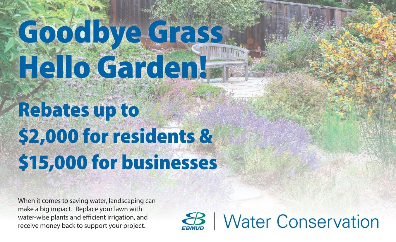  Transform Your Garden, Save Water, and Earn Rebates! 
 Across the San Francisco Bay Area and Los Angeles region, local water agencies offer rebates from $2 to $5 per sq ft for replacing lawns with drought-tolerant landscapes.Click image for details.