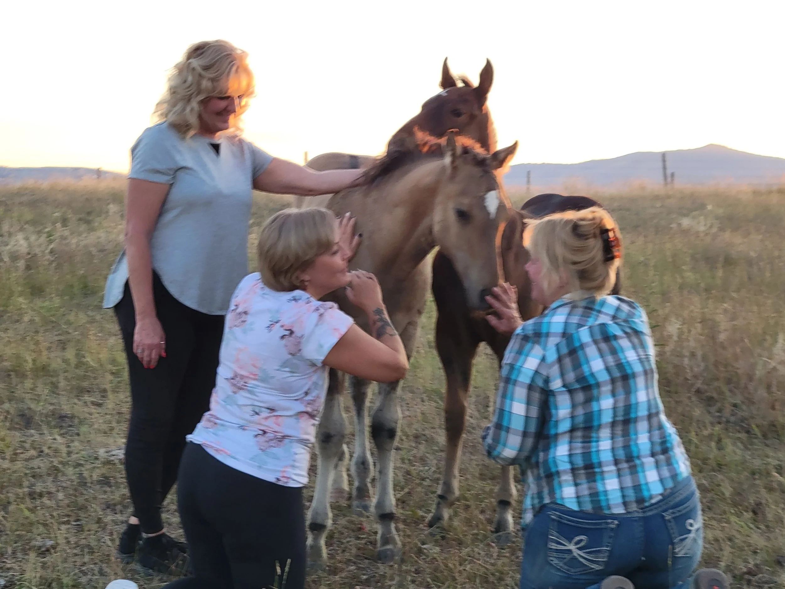 🐎 30-Minute Grounded Connection