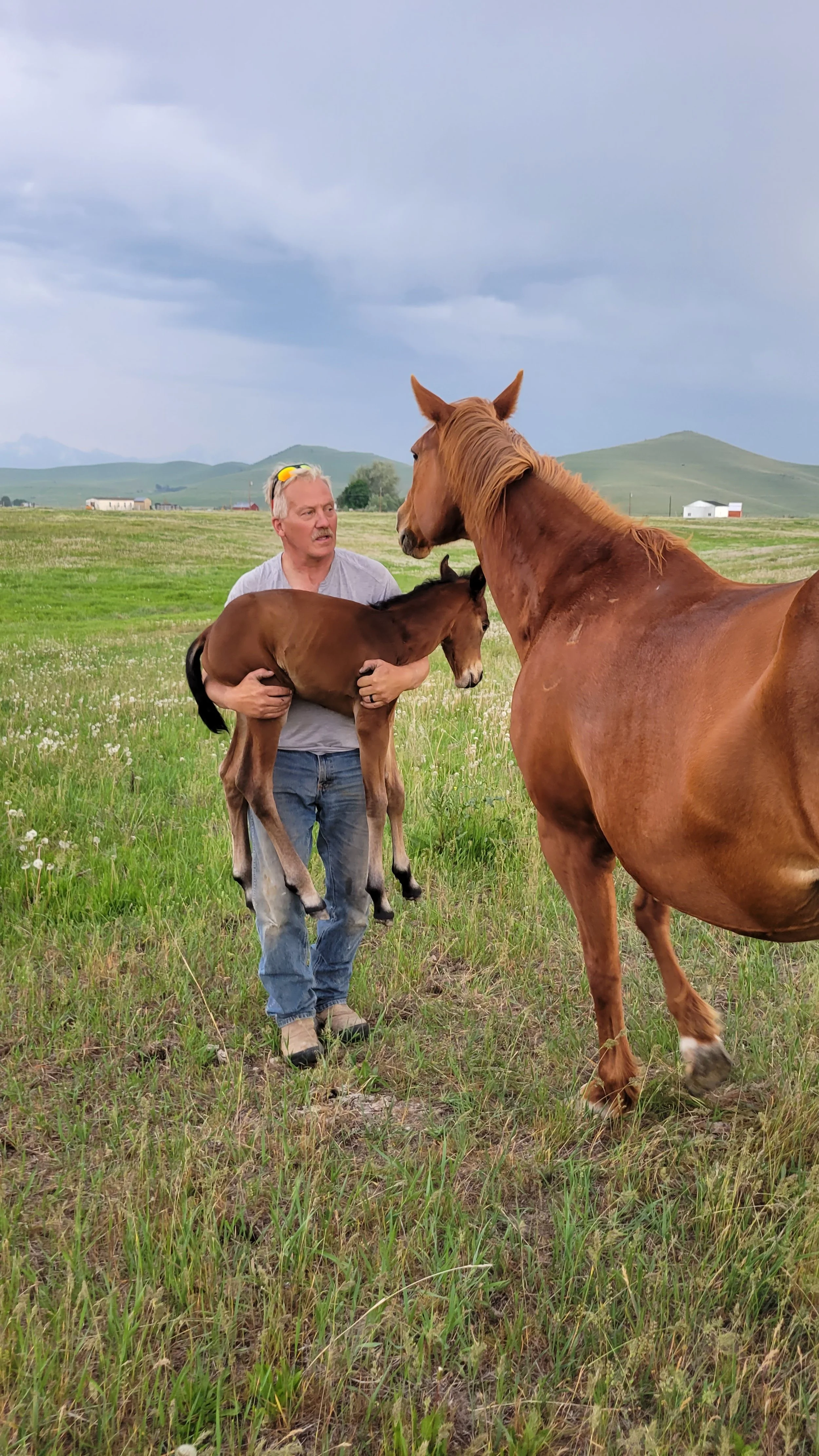 90-Minute Immersive Ranch Experience