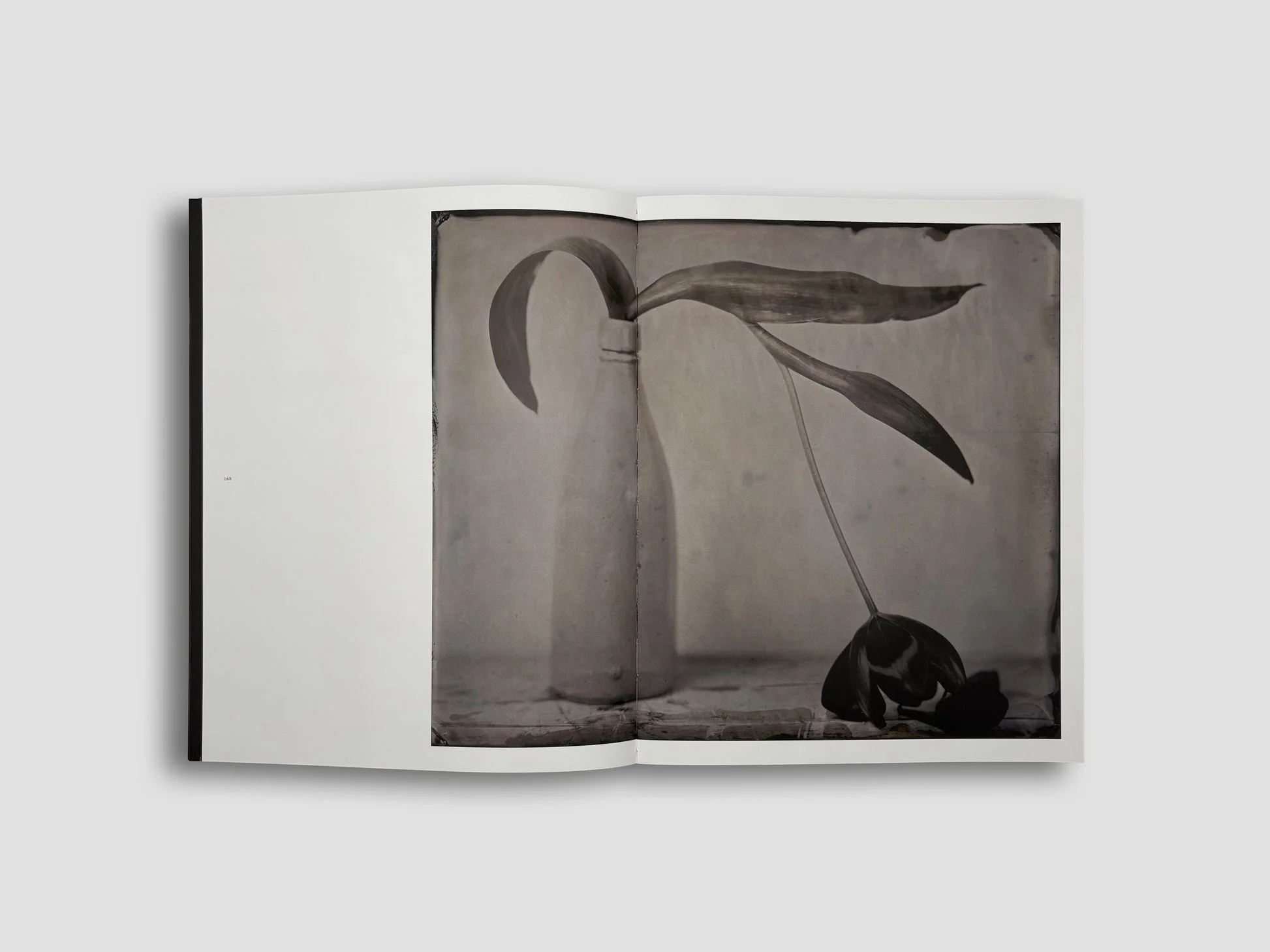 Lara_Porzak_Chemistry_of_Memory_Product_Shot_Cover_07.jpg (Copy) (Copy)