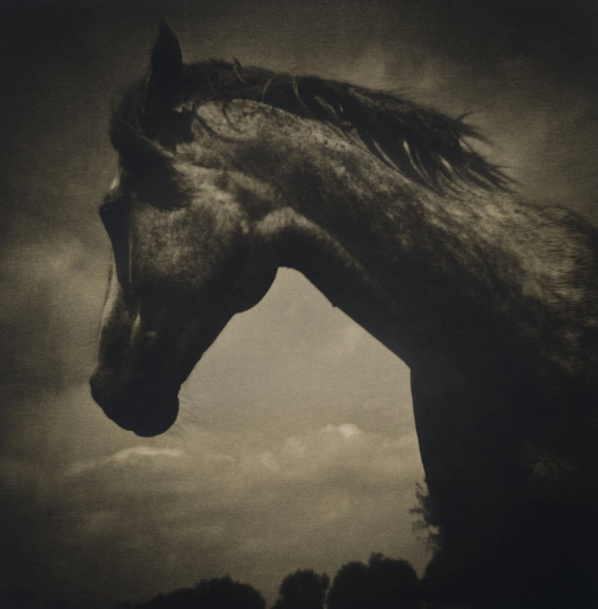 A black and white close-up photograph of a horse's head and upper neck, showing detailed features and flowing mane, against a cloudy sky background.