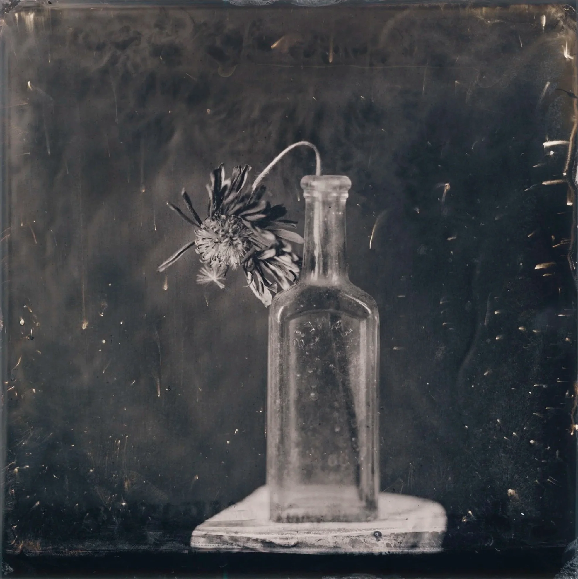 Black and white photograph of a clear glass bottle with a flower next to it, placed on a flat surface against a dark background.