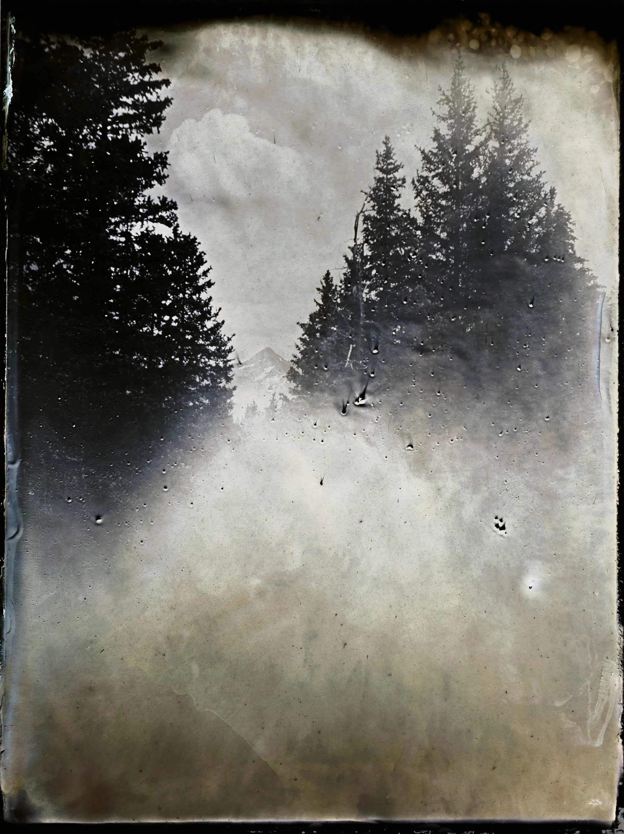 Black and white photograph of tall pine trees lining a mountain road, with mountains and cloudy sky in the background, viewed through rain-covered glass.