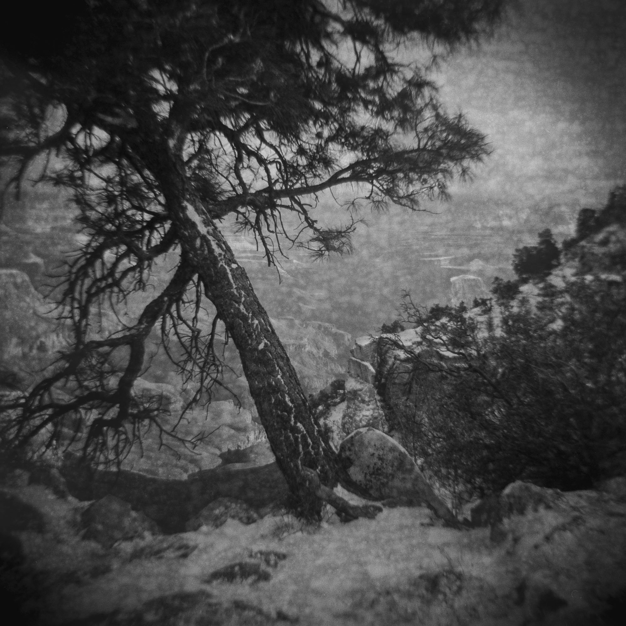 Lara scans 2025-005.jpg