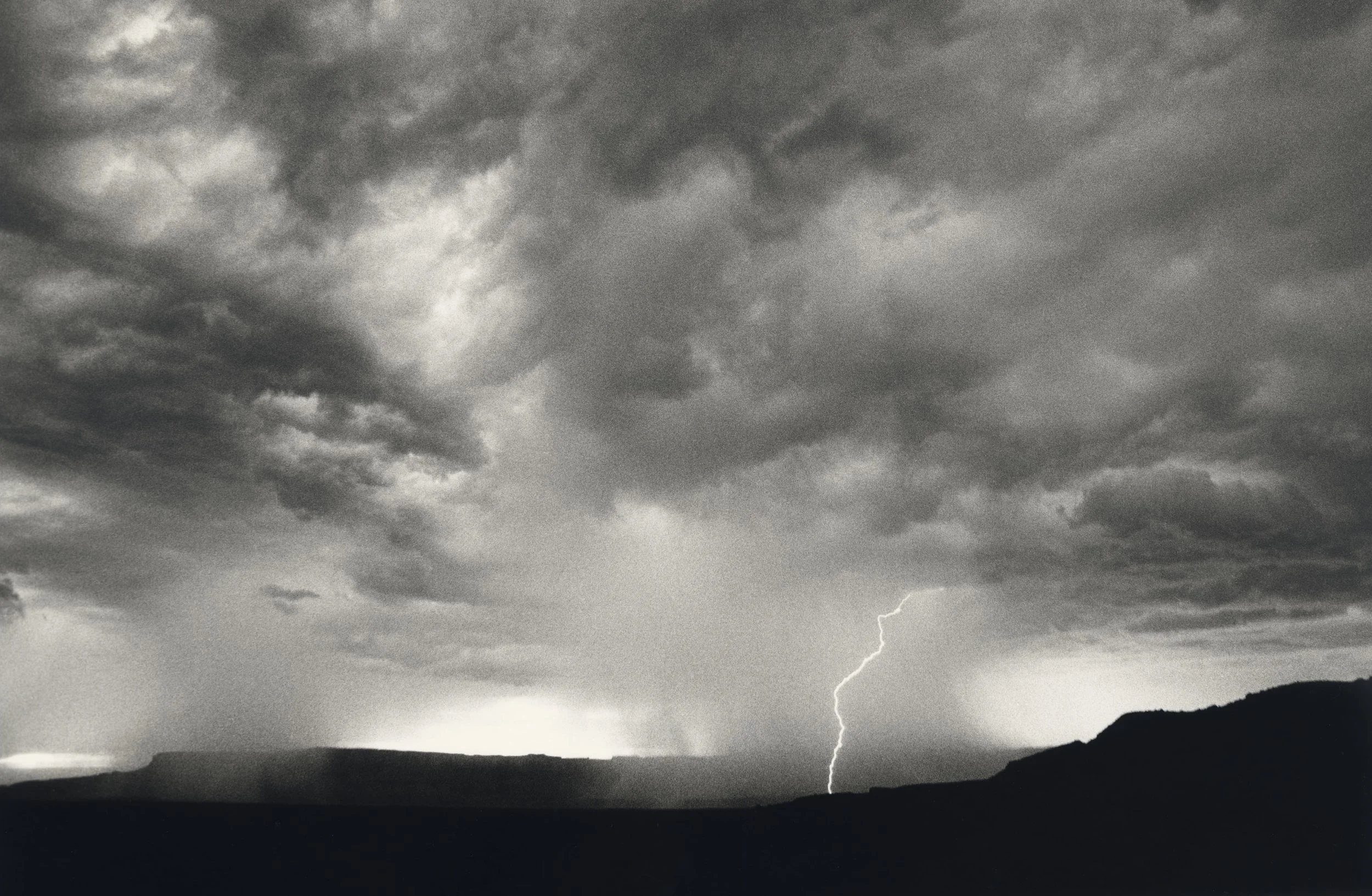 Lara scan  89-Pano.jpg