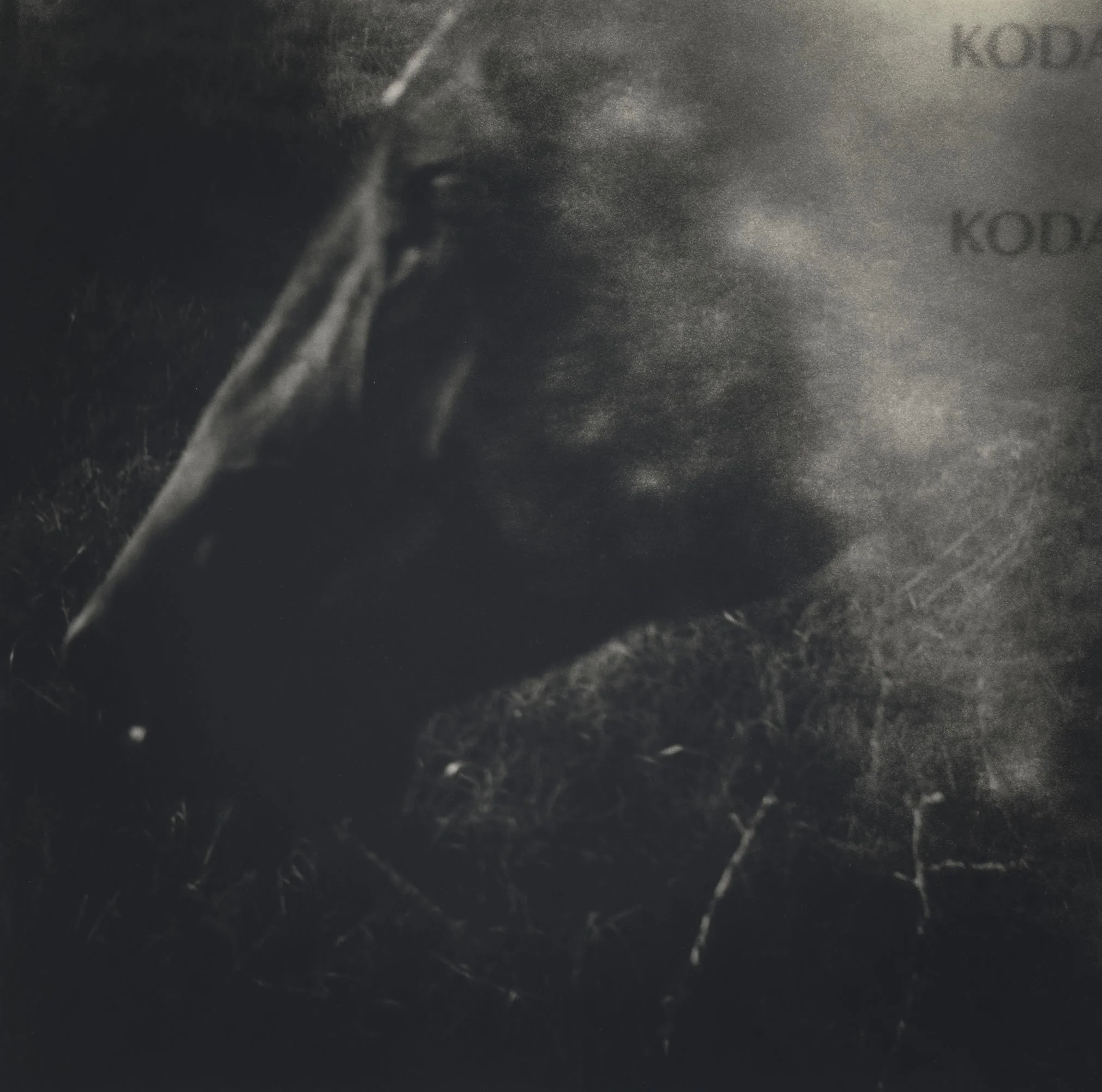 Lara scan 123 3-Pano.jpg