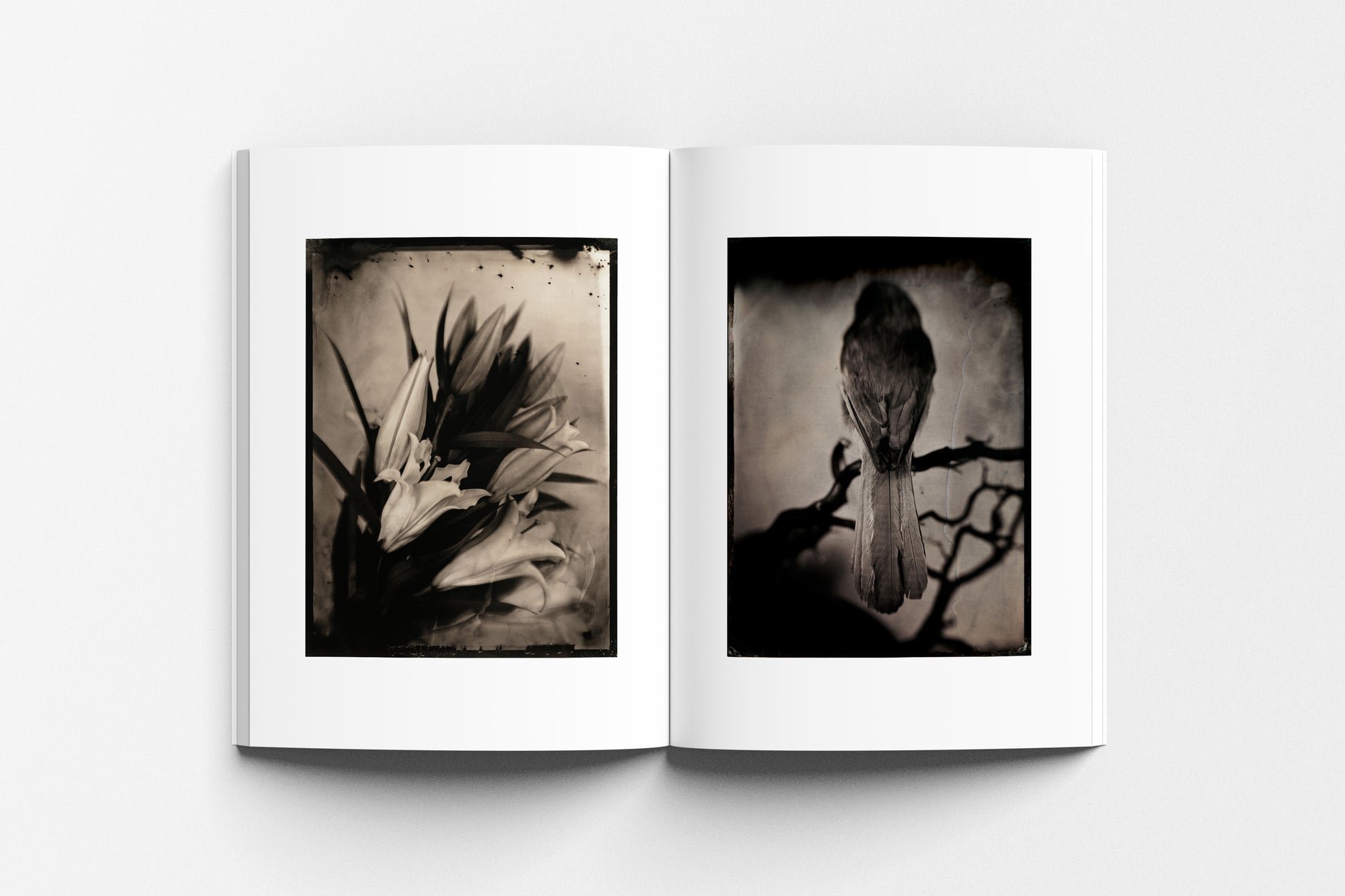 Lara_Porzak_Chemistry_of_Memory_Product_Shot_03.jpg