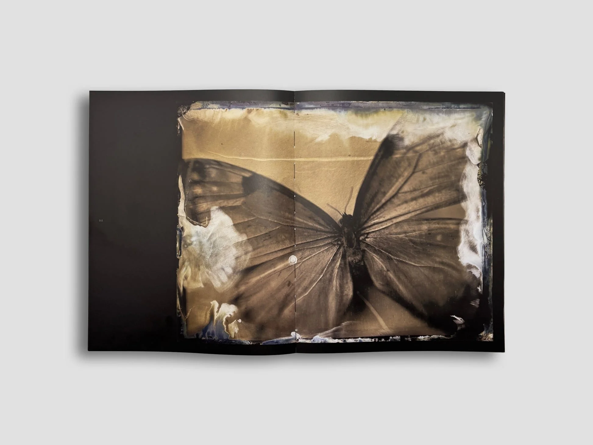 Lara_Porzak_Chemistry_of_Memory_Product_Shot_Cover_01.jpg (Copy) (Copy)