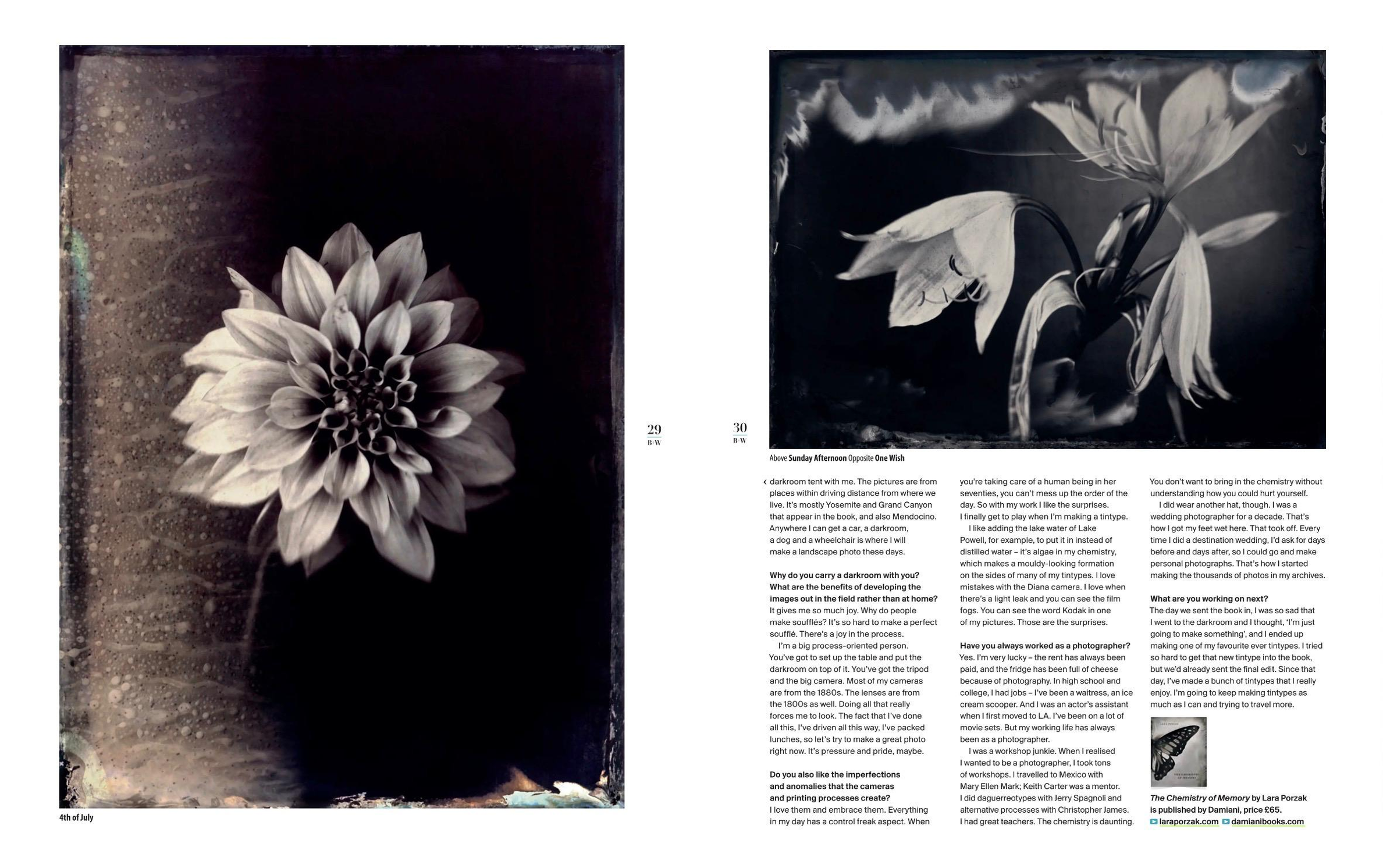 Lara_Porzak_BW_Photography_website_02.png