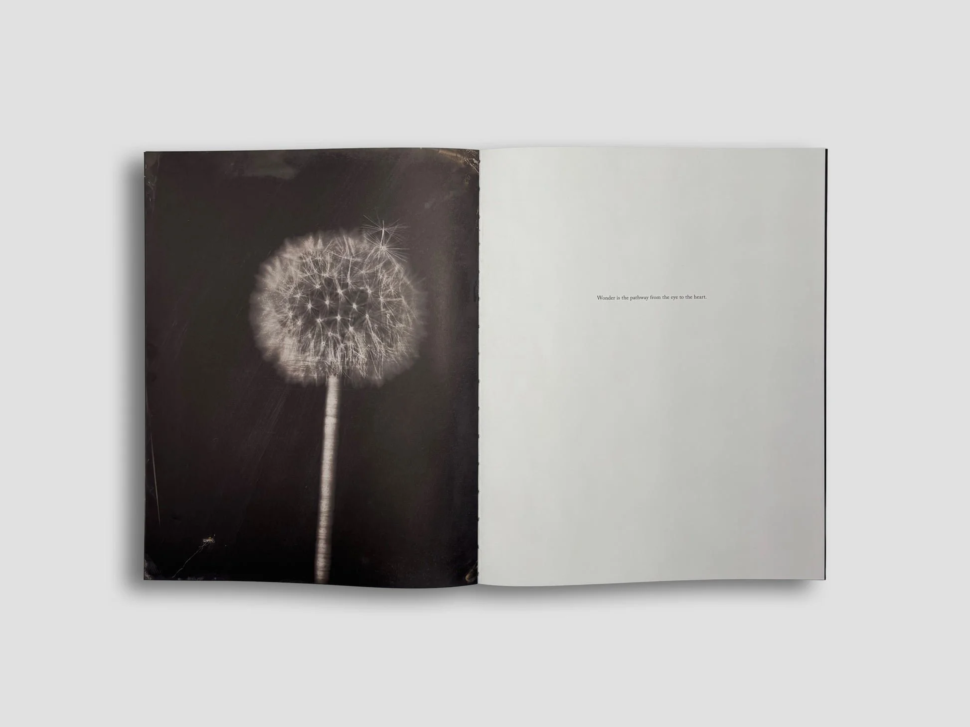 Lara_Porzak_Chemistry_of_Memory_Product_Shot_Cover_03.jpg (Copy) (Copy)