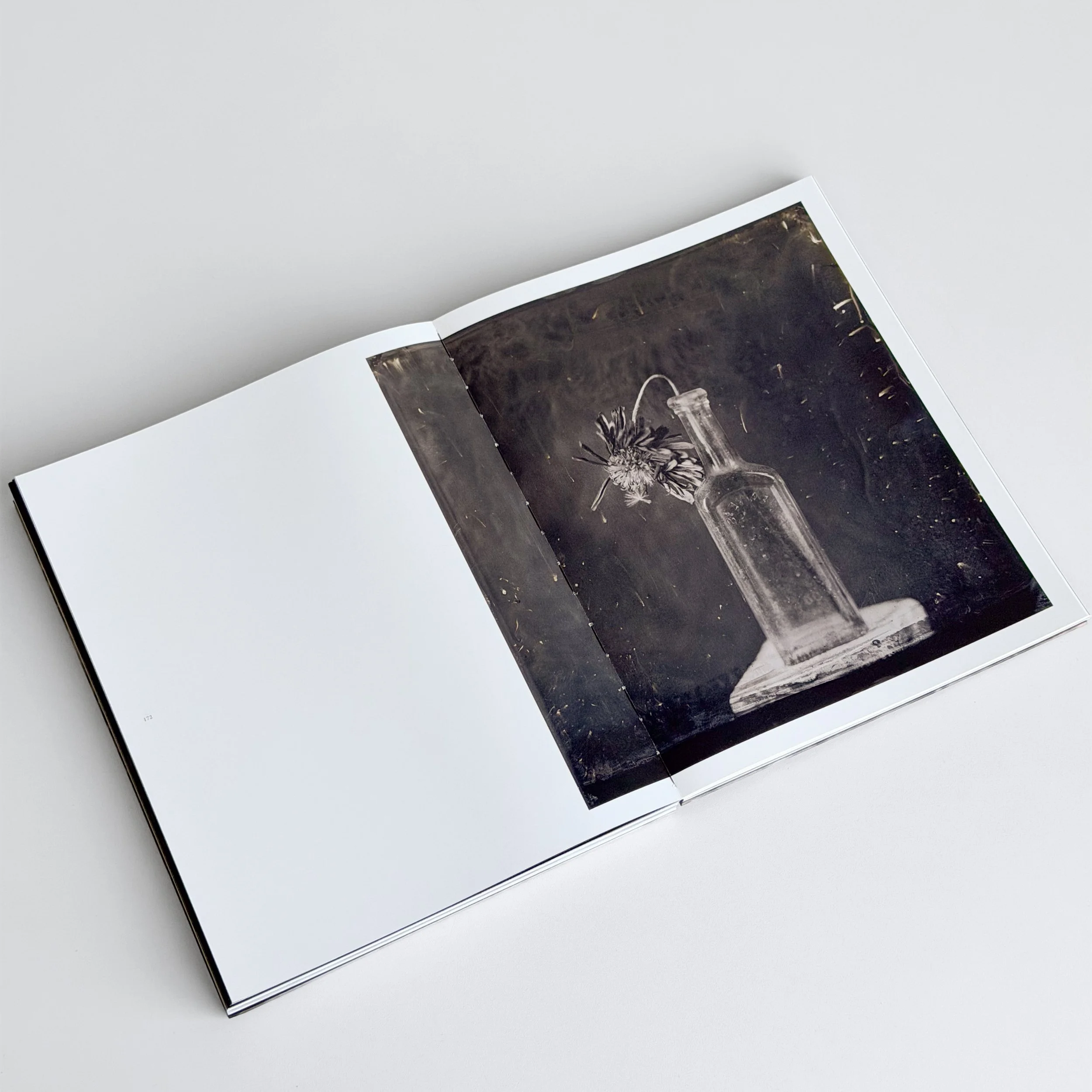 Lara_Porzak_Chemistry_Of_Memory_20.JPG
