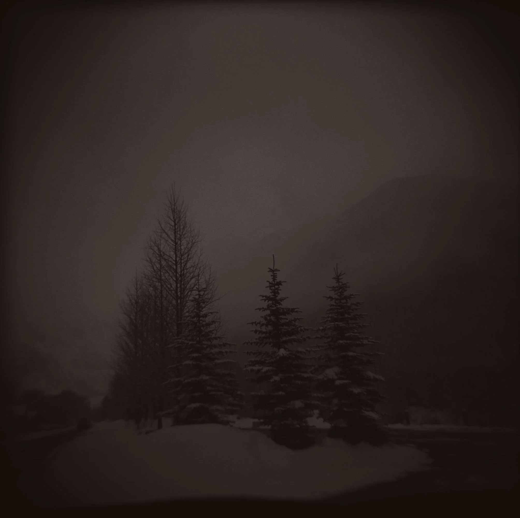 Dark, foggy winter landscape with a few snow-covered trees and mountains in the background.