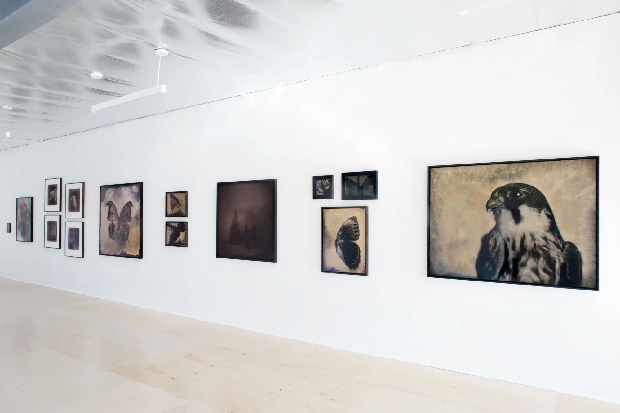 Lara Porzak - Gallery installation.jpg