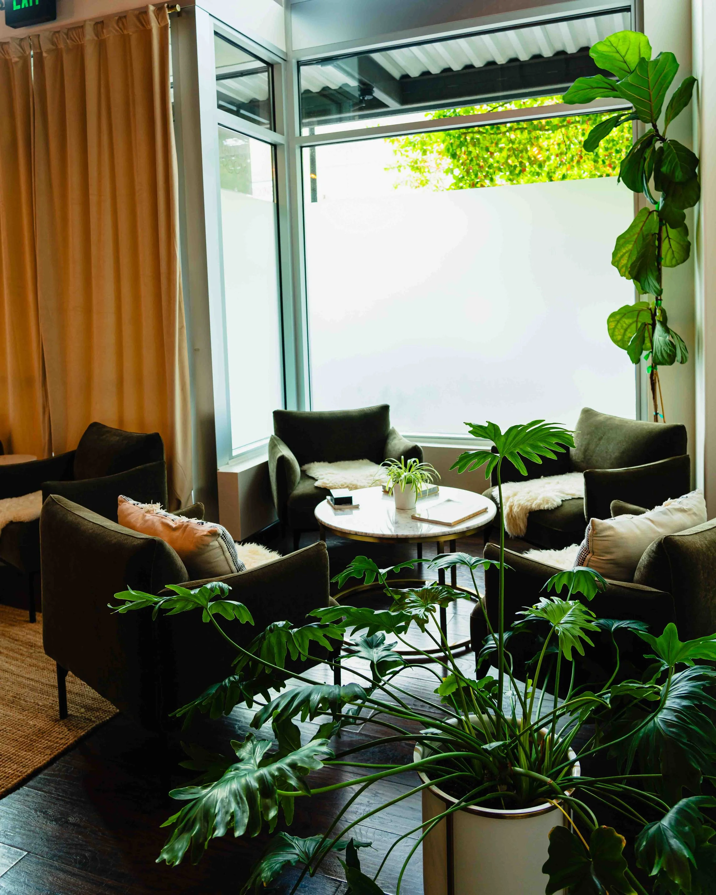 Indoor seating area with black chairs, white fluffy throws, and a white round table with plants and books. Large green plants near windows with beige curtains, and sunlight coming through a glass wall.