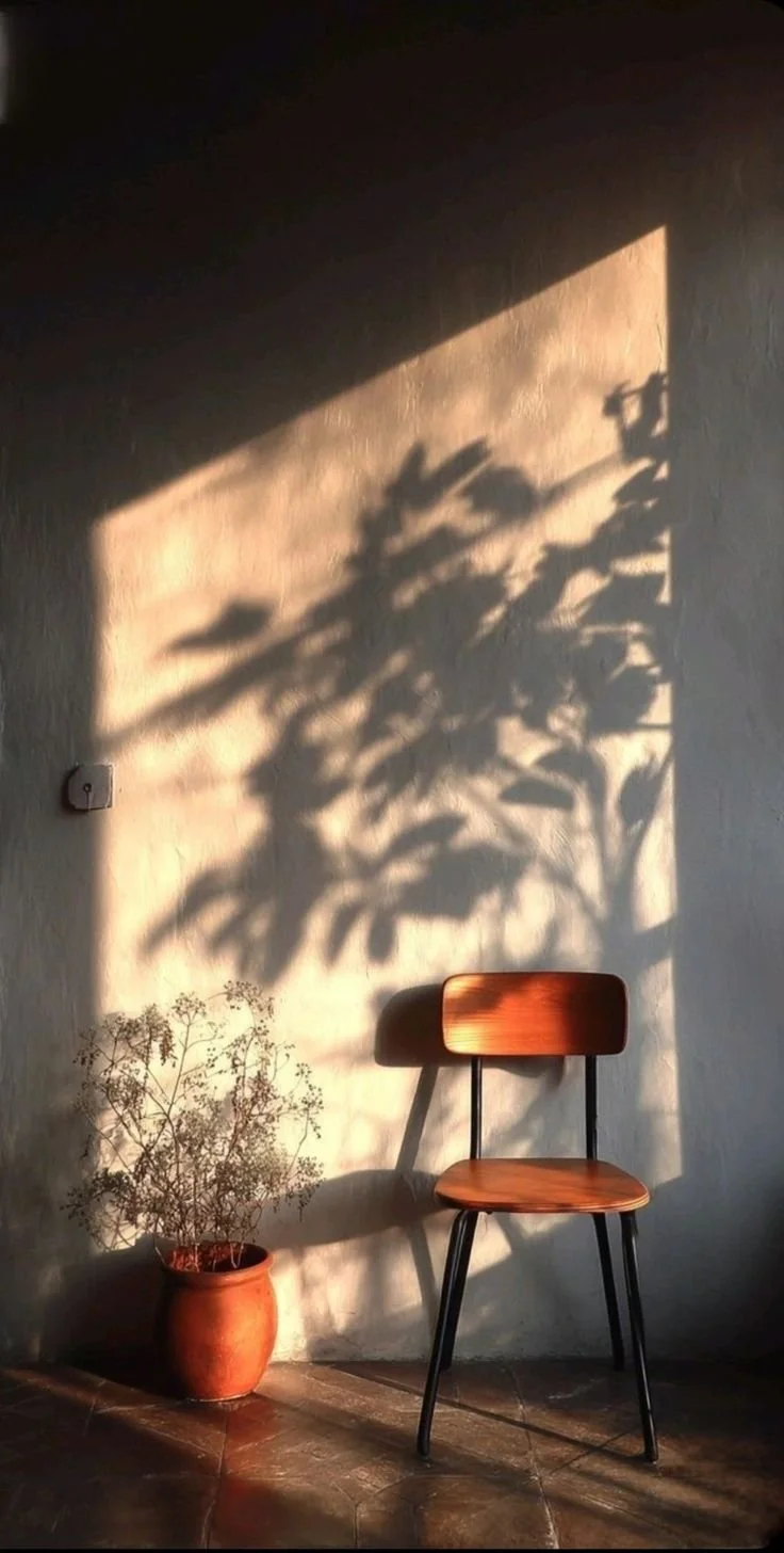 A wooden chair next to a potted plant with shadows cast on the wall by sunlight through a window.