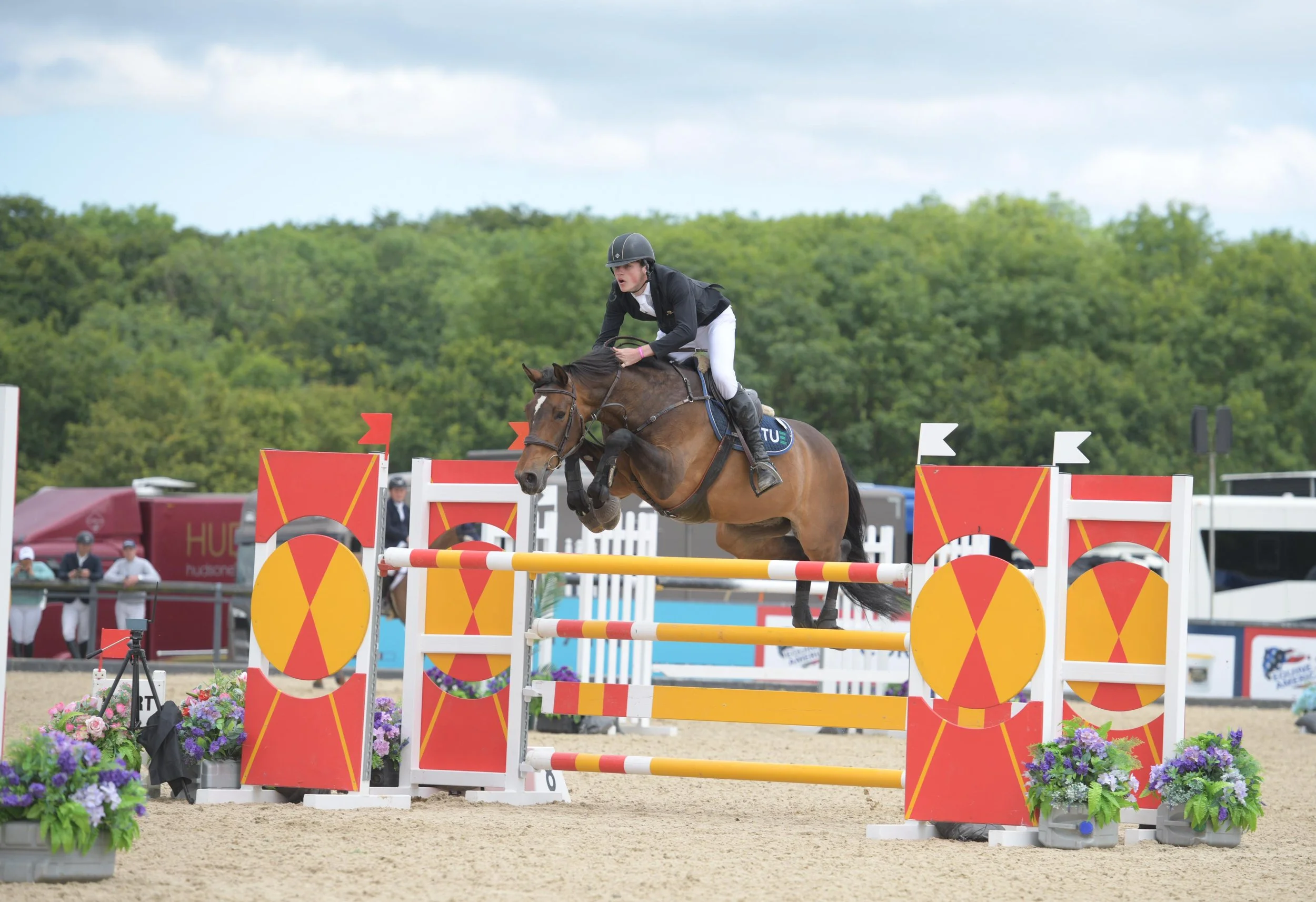 Kingsborough Verdiva