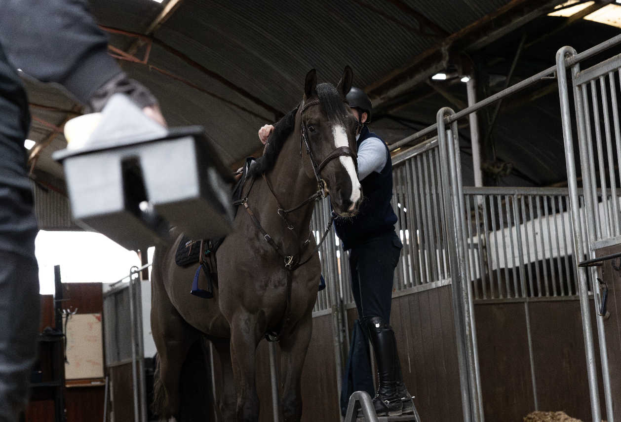 Screenshot 2026-01-23 at 00.52.52.png