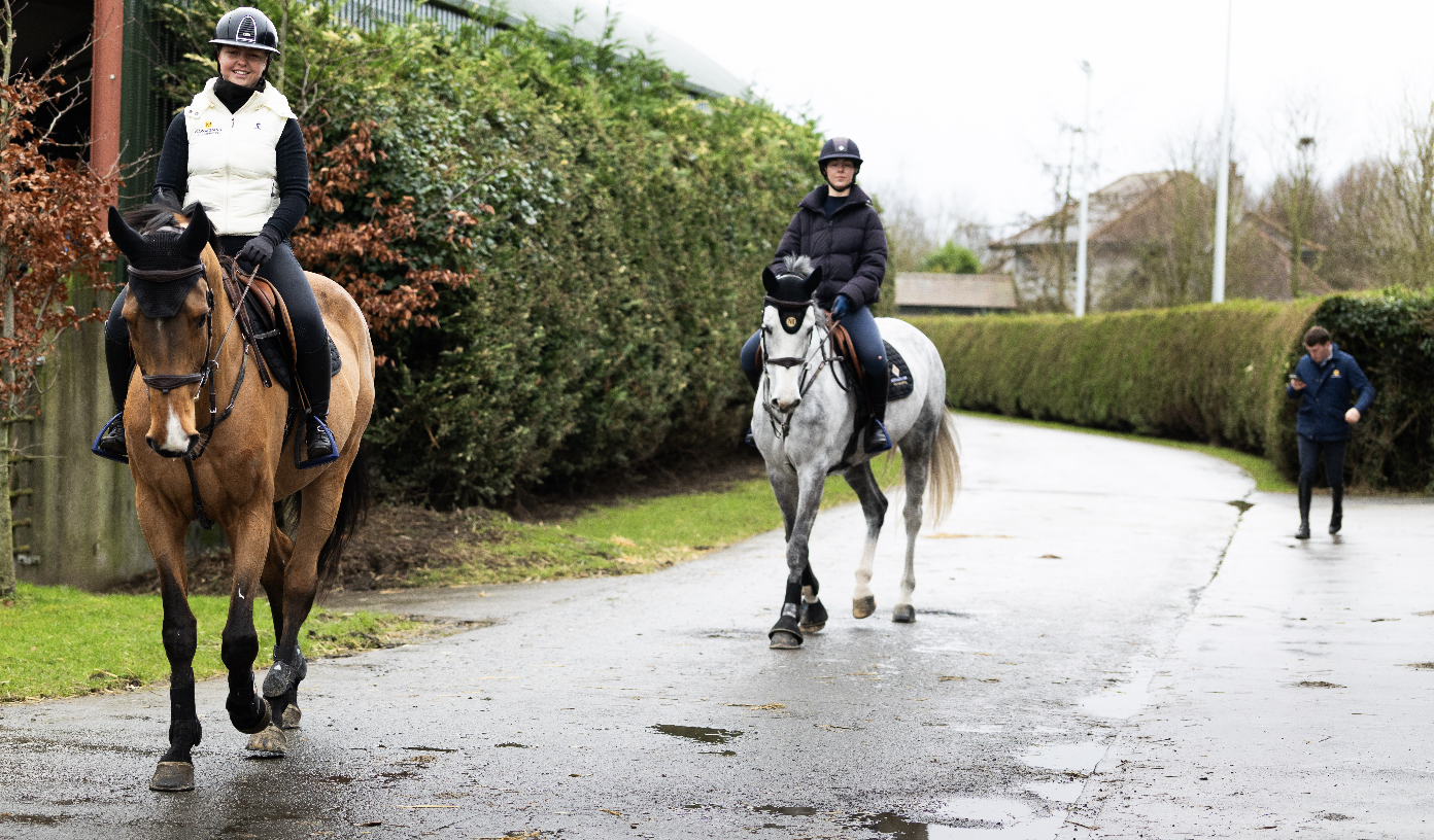 Screenshot 2026-01-22 at 23.41.15.png